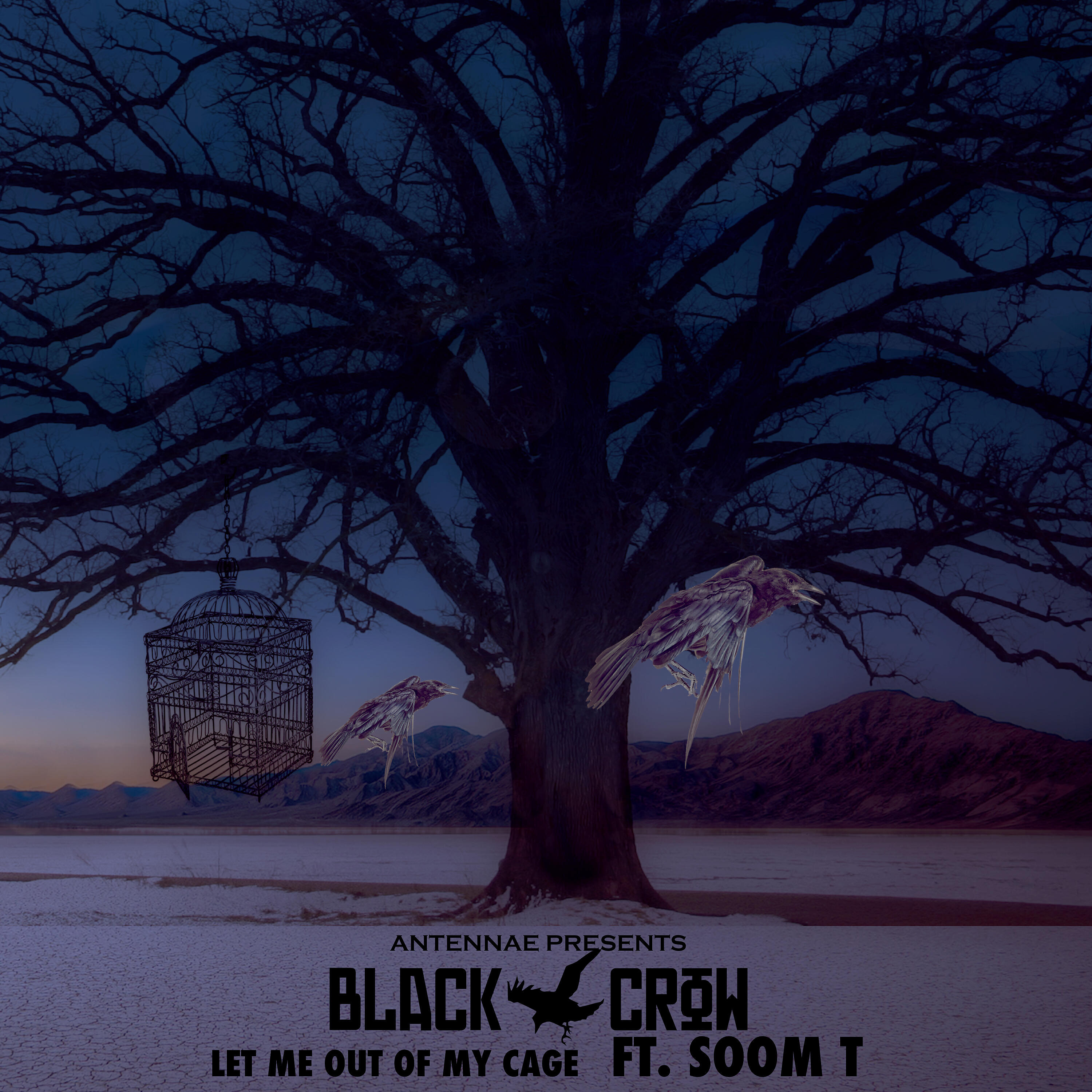 Black Crow - Let Me Out of My Cage