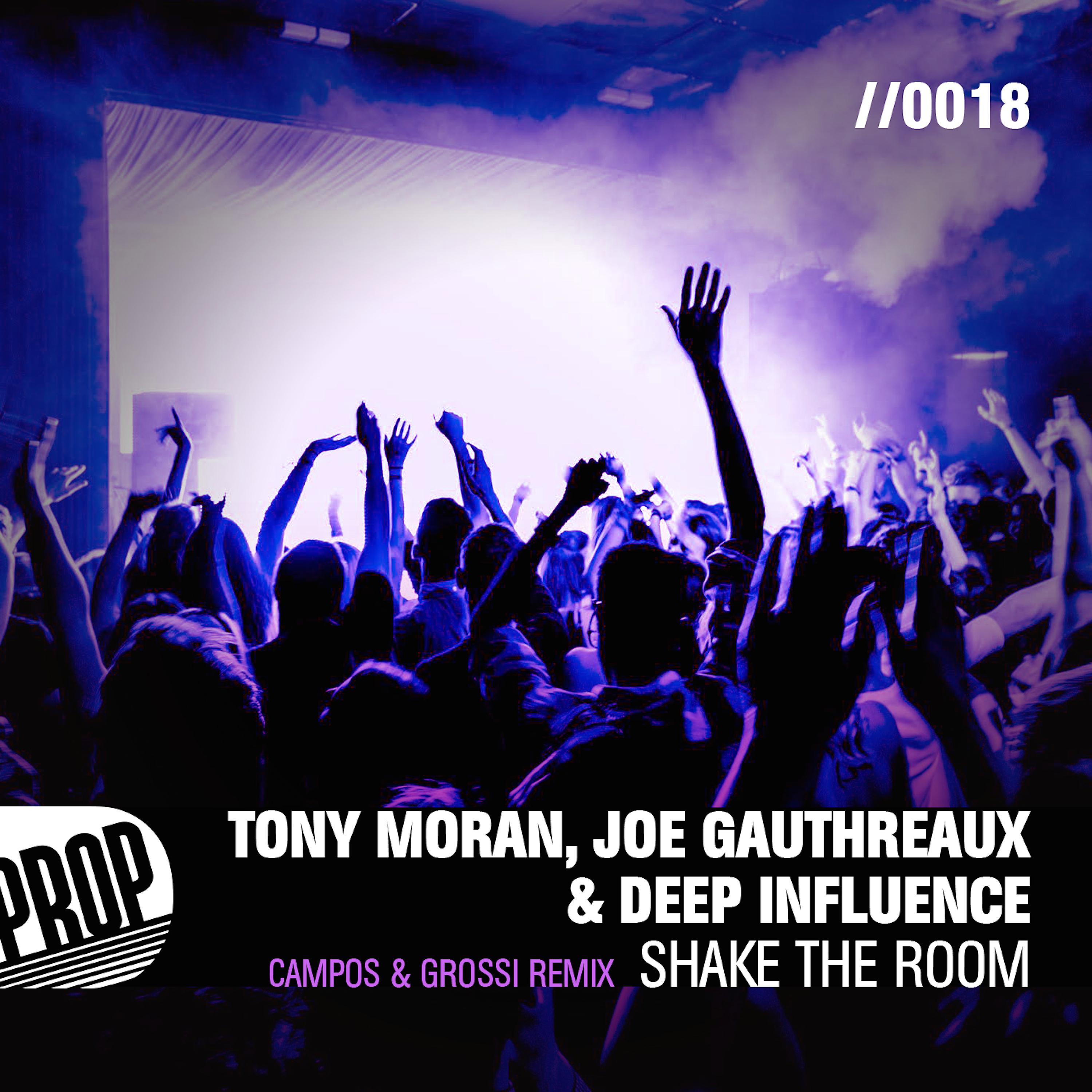 Постер альбома Shake the Room (Campos & Grossi Remix)