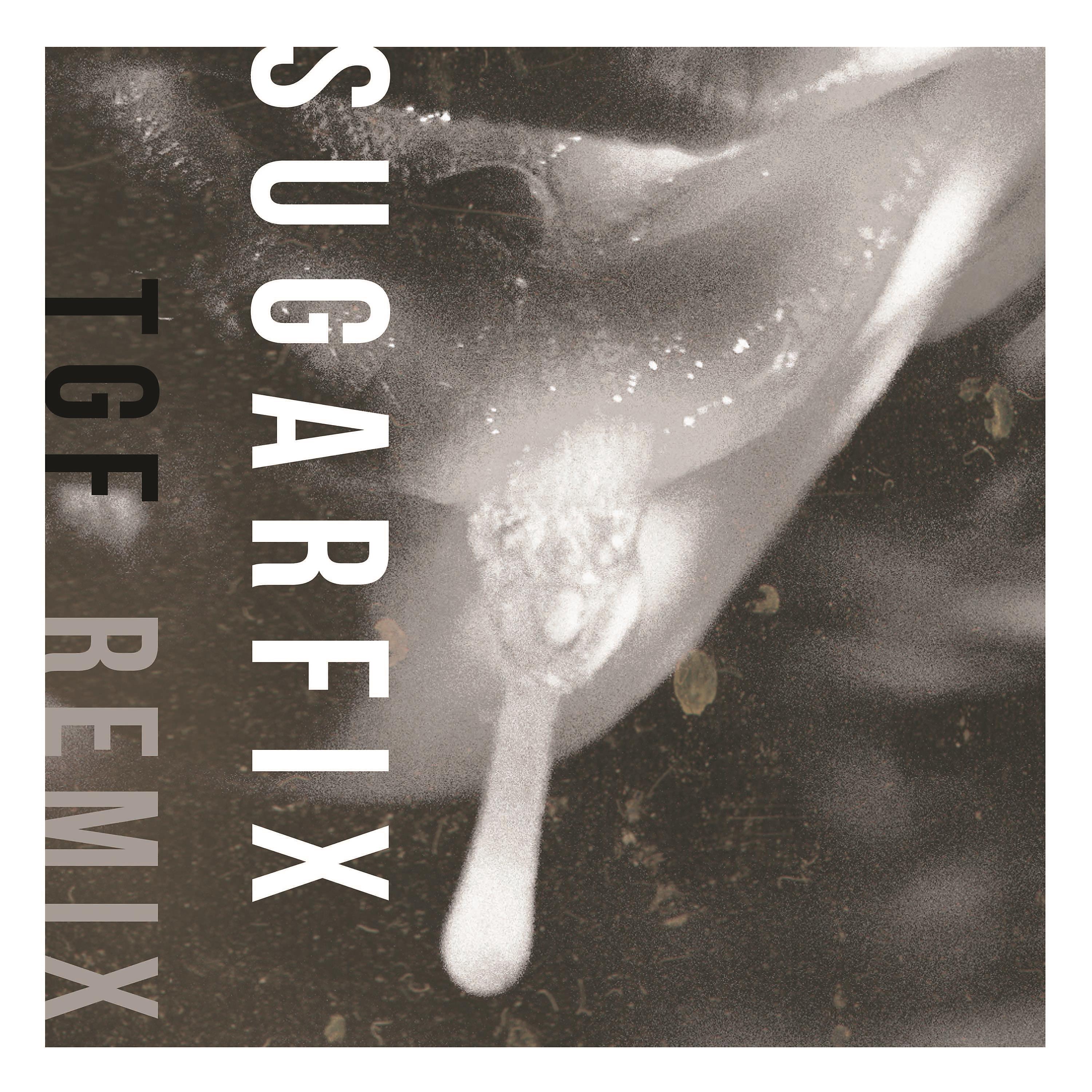 Постер альбома Sugarfix (Teengirl Fantasy Mix)