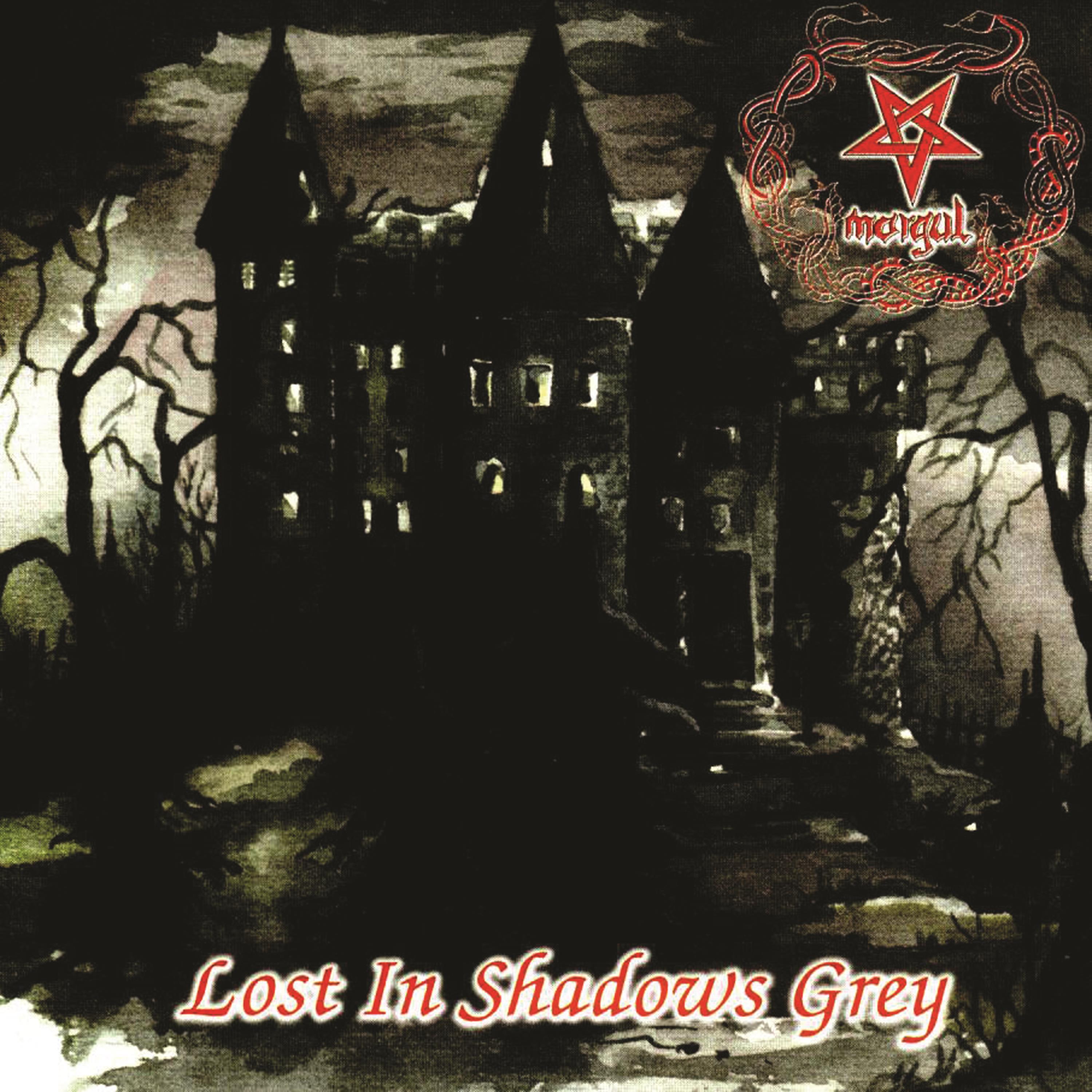 Постер альбома Lost in Shadows Grey