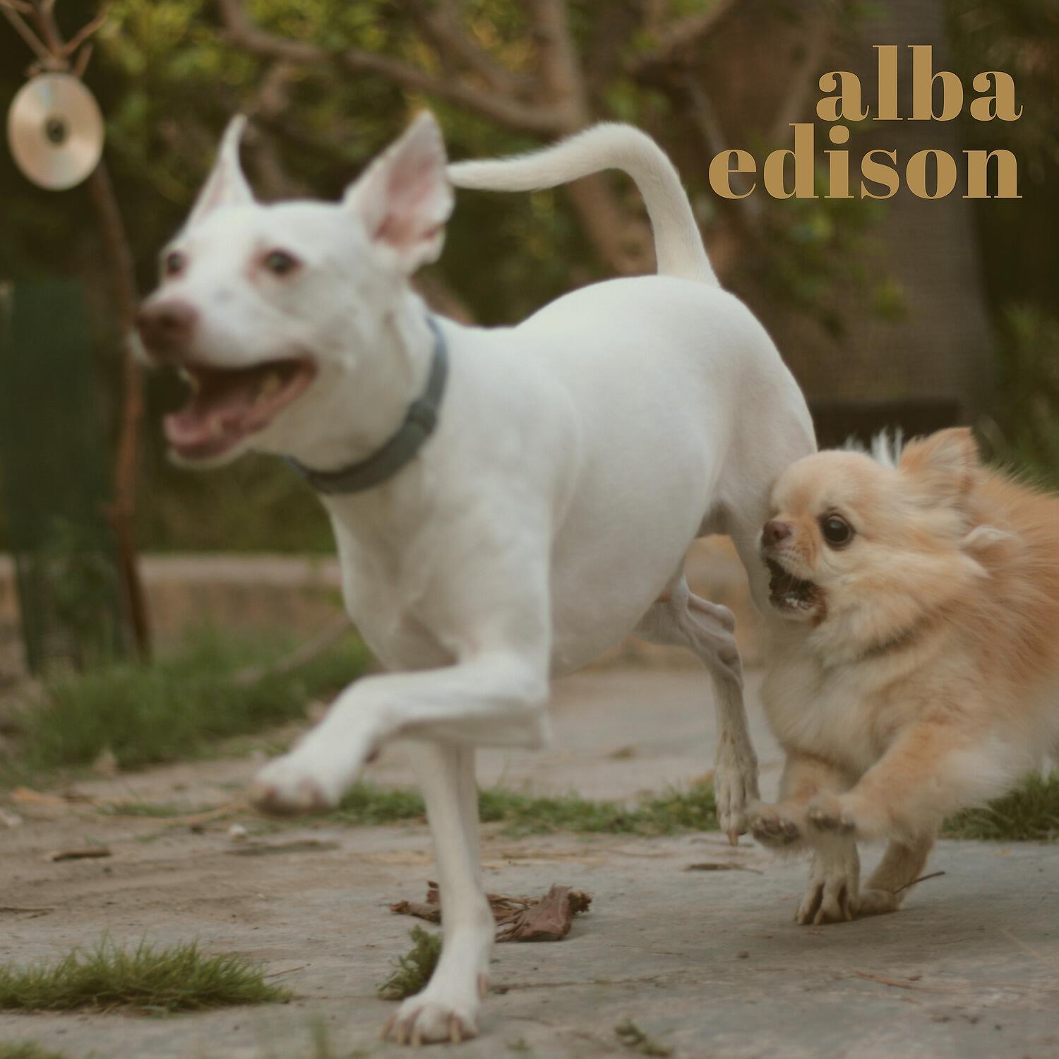 Alba Edison - La calma
