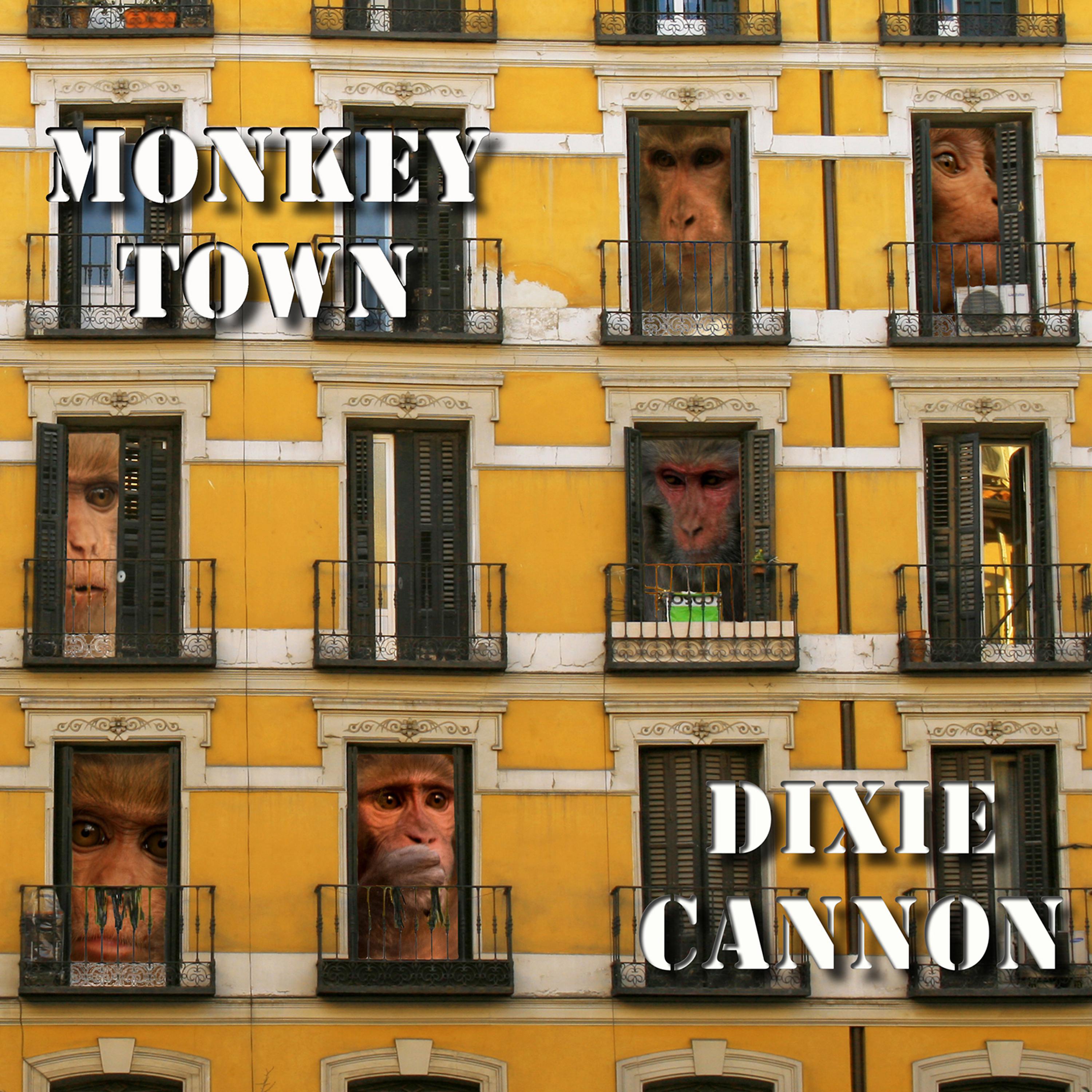 Постер альбома Monkey Town