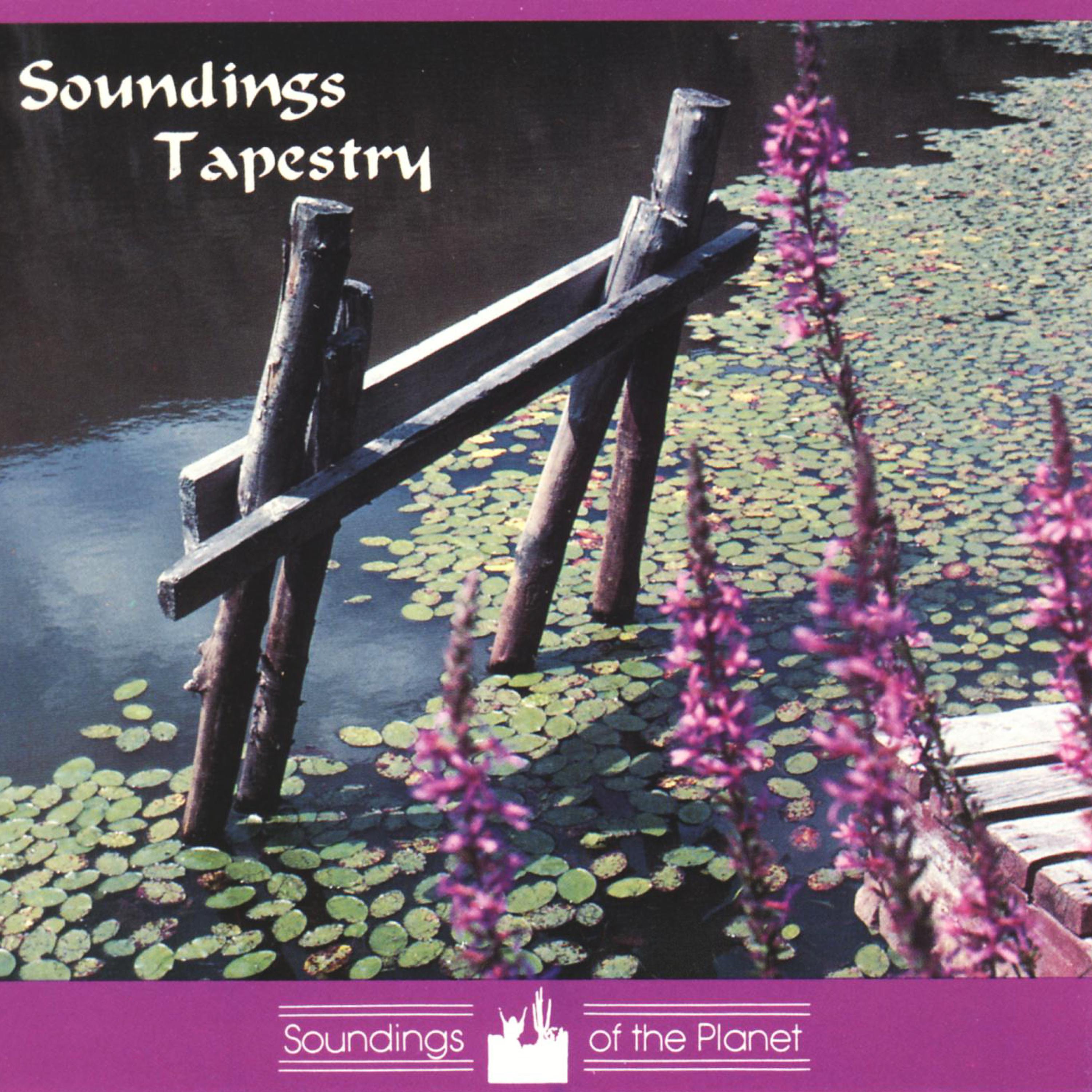 Постер альбома Soundings Tapestry