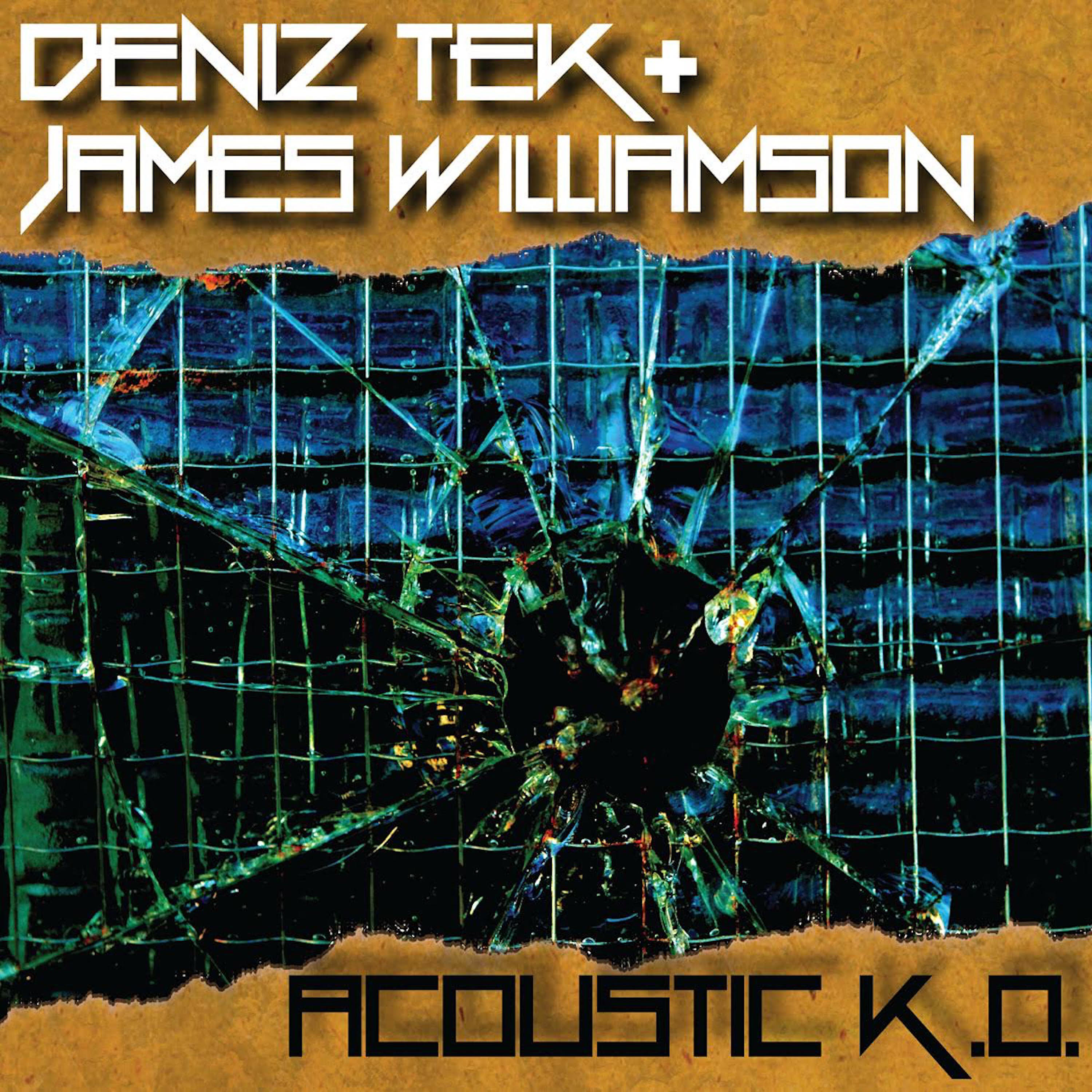 James Williamson - I Need Somebody