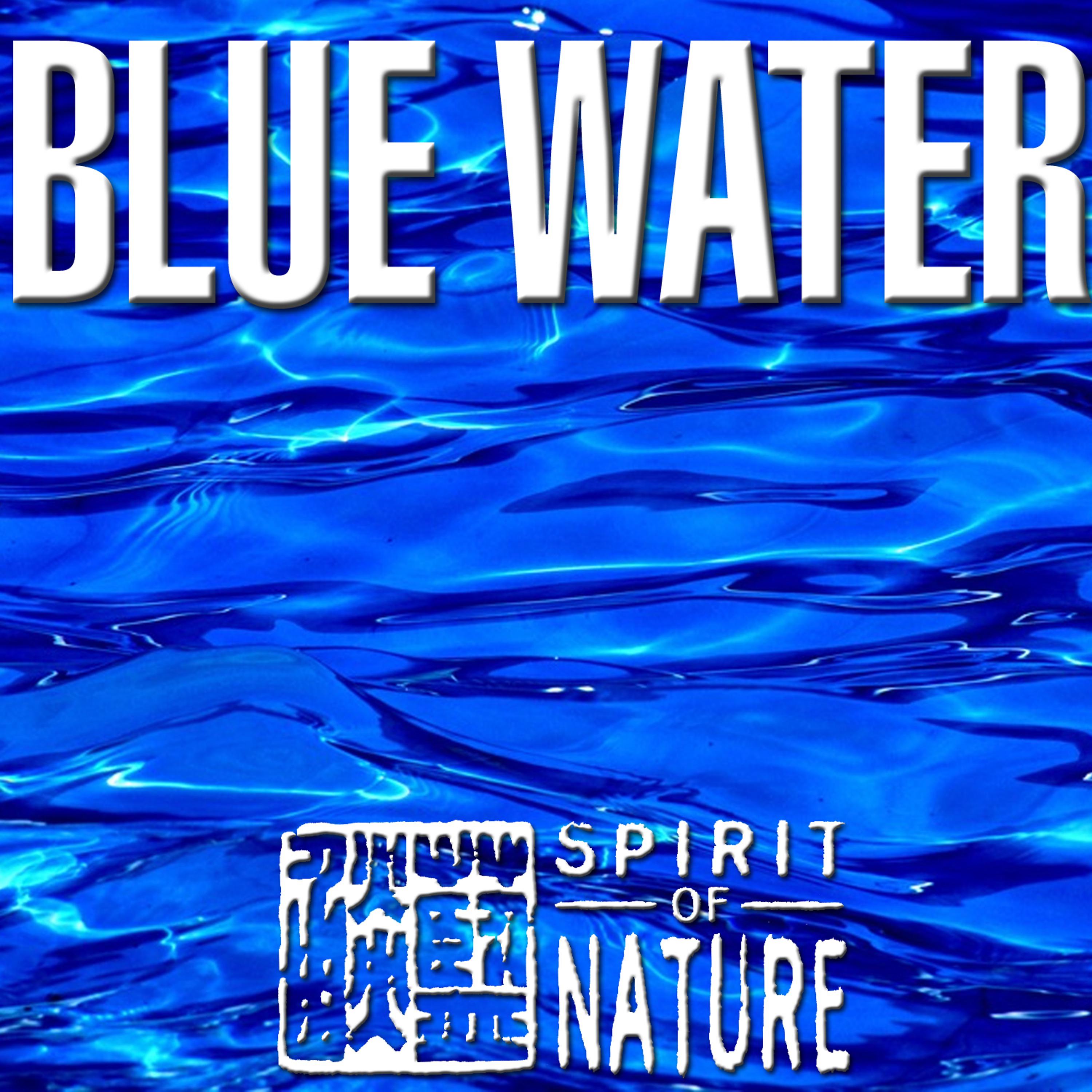 Постер альбома Spirit of Nature - Blue Water