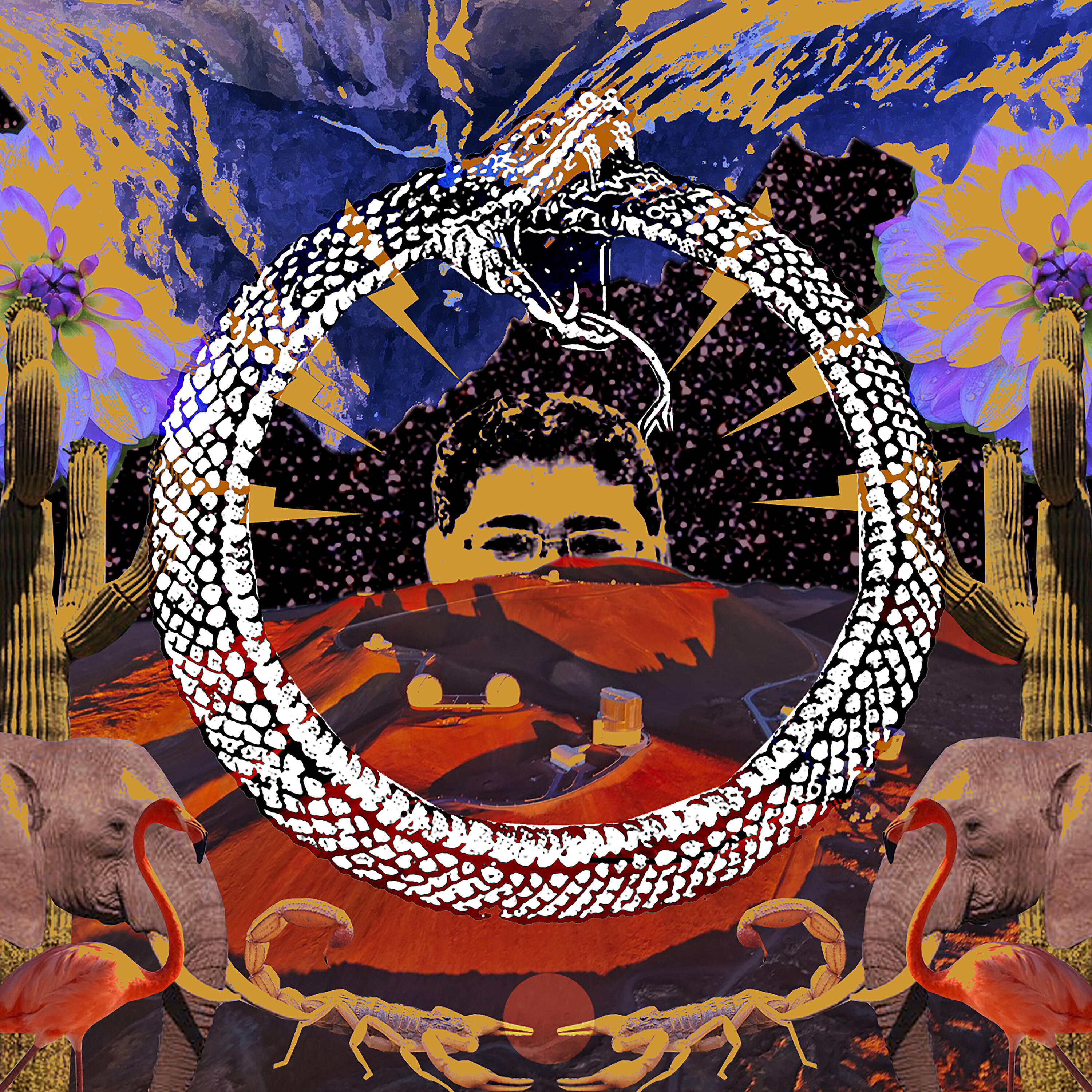 Stone House on Fire - Purge and Purify