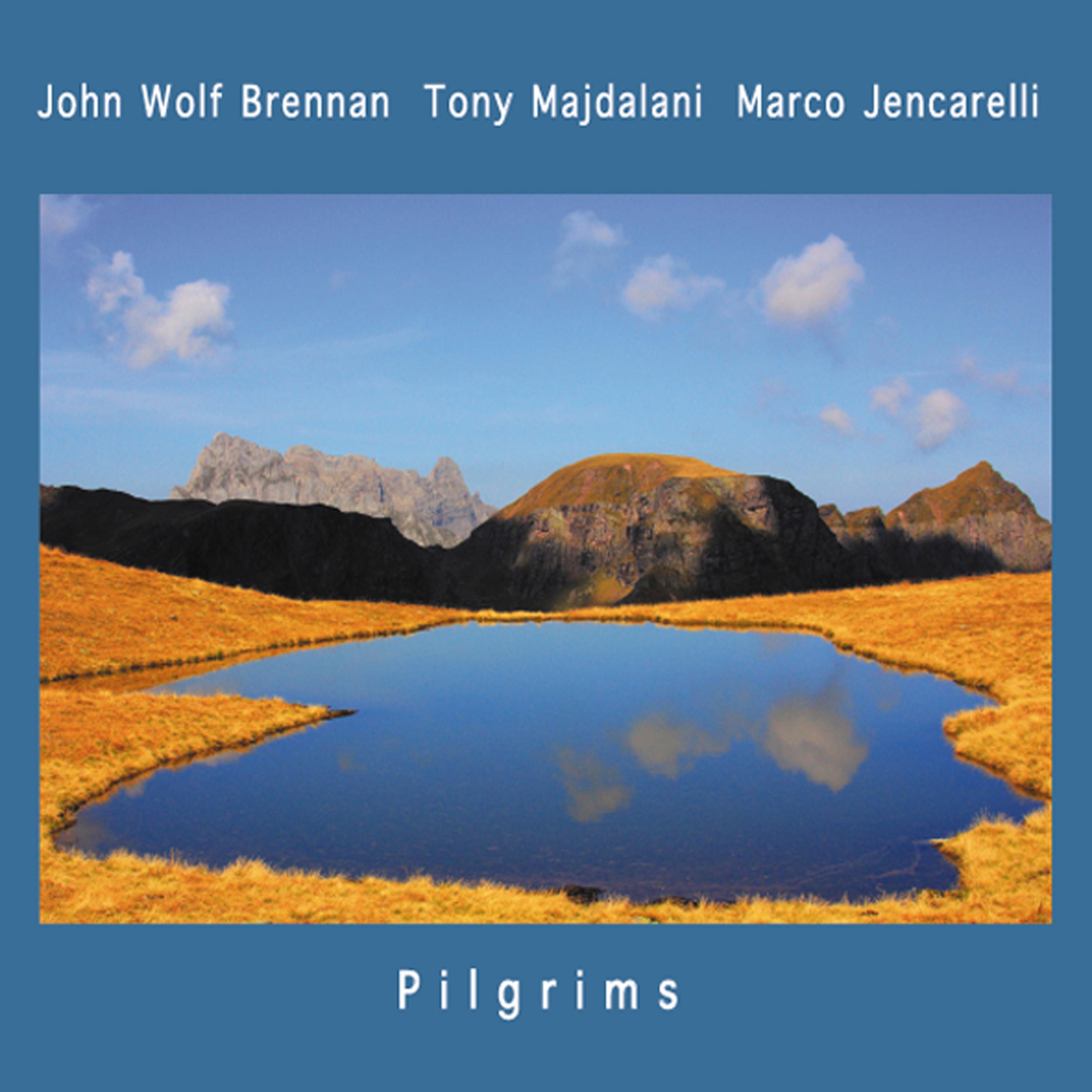 Постер альбома Pilgrims