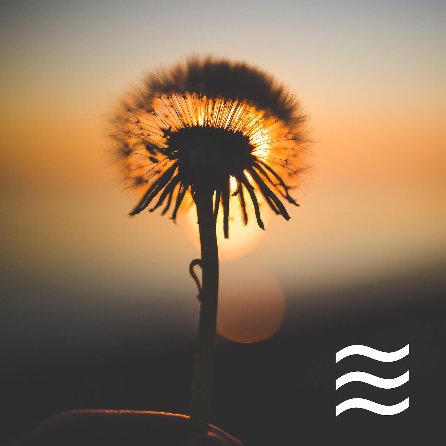 Loop Soft Noise Sound - Sleep Calm and Relief Noise