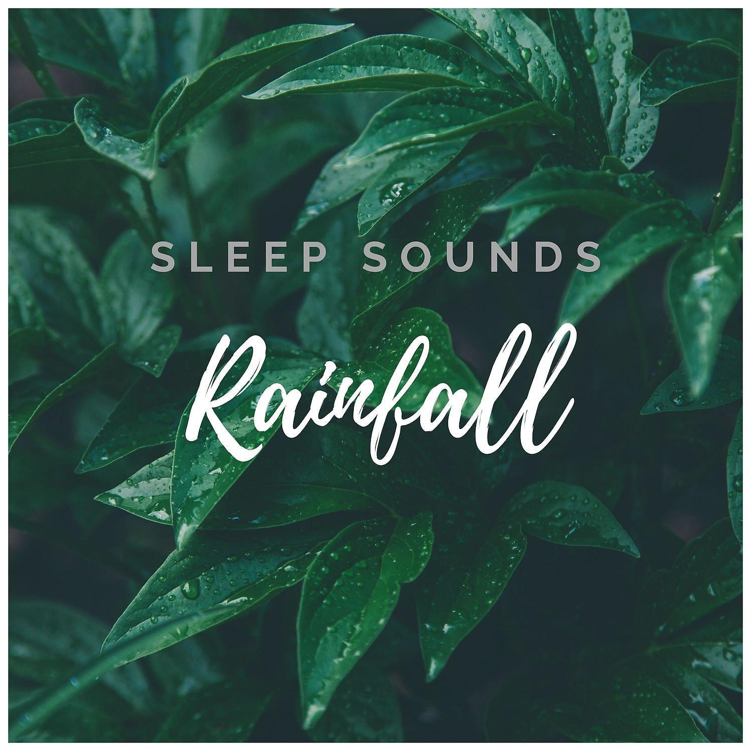 Постер альбома #Rain and #Forest Sounds for Sleep