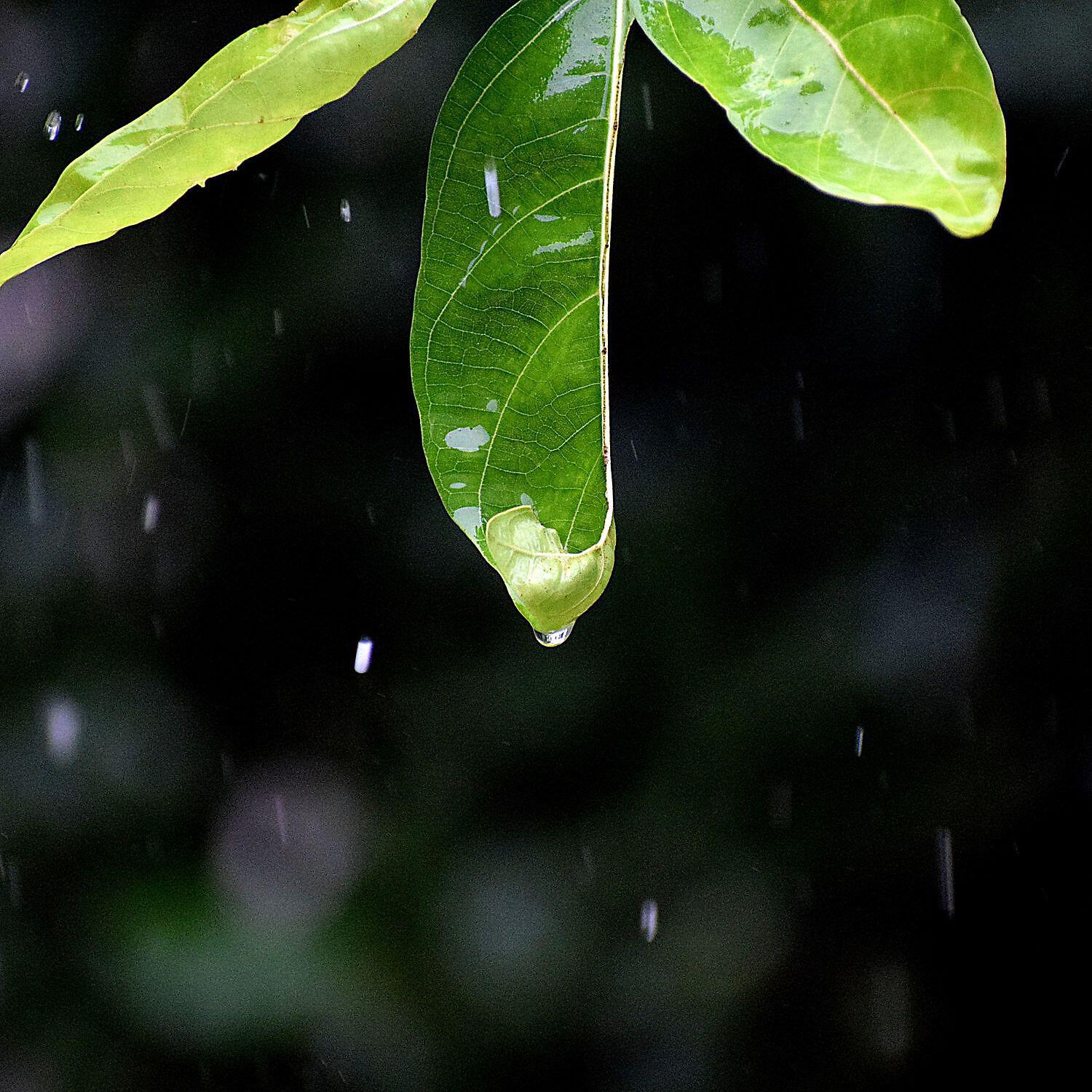YT Sounds for Sleep - Quick Nap with Rain
