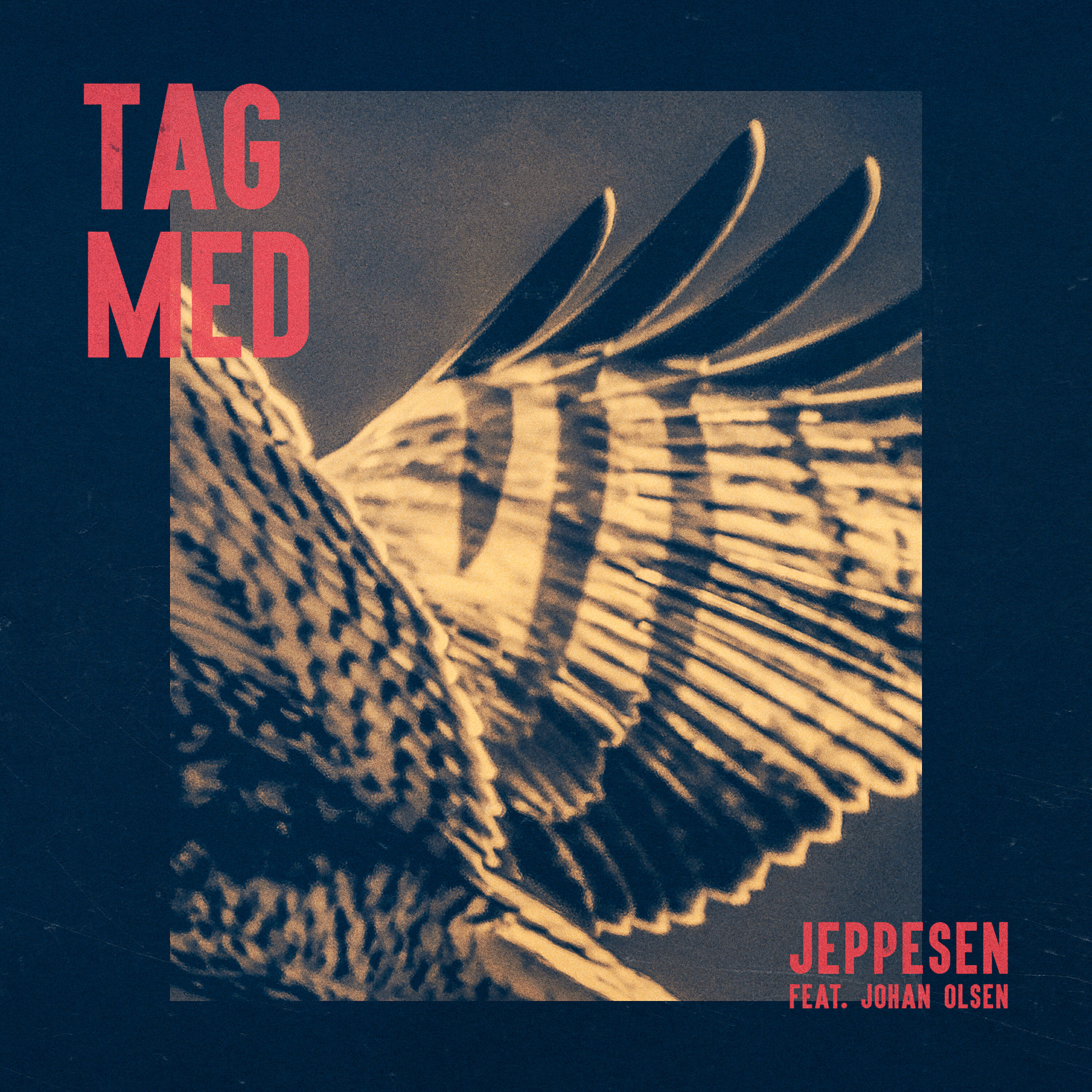JEPPESEN - Tag Med (feat. Johan Olsen)
