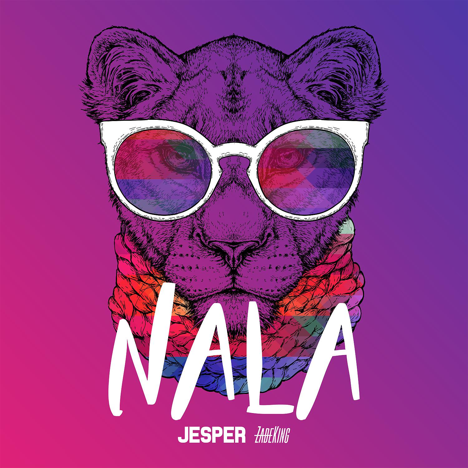 Постер альбома Nala (feat. ZadeKing)