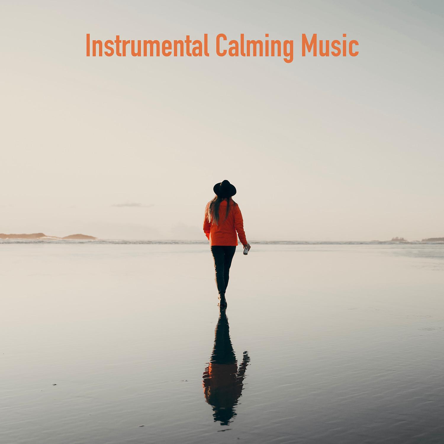Постер альбома Instrumental Calming Music