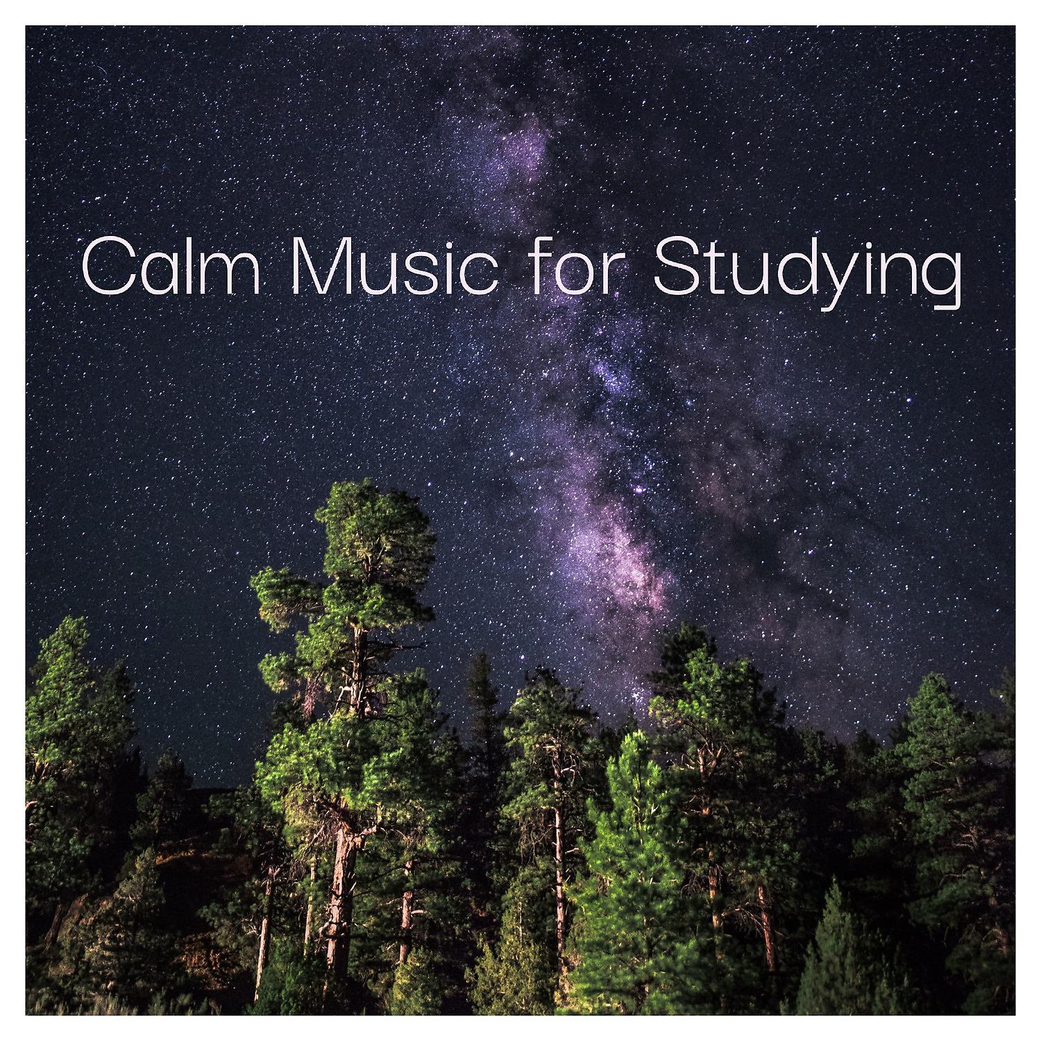 Постер альбома Calm Music for Studying