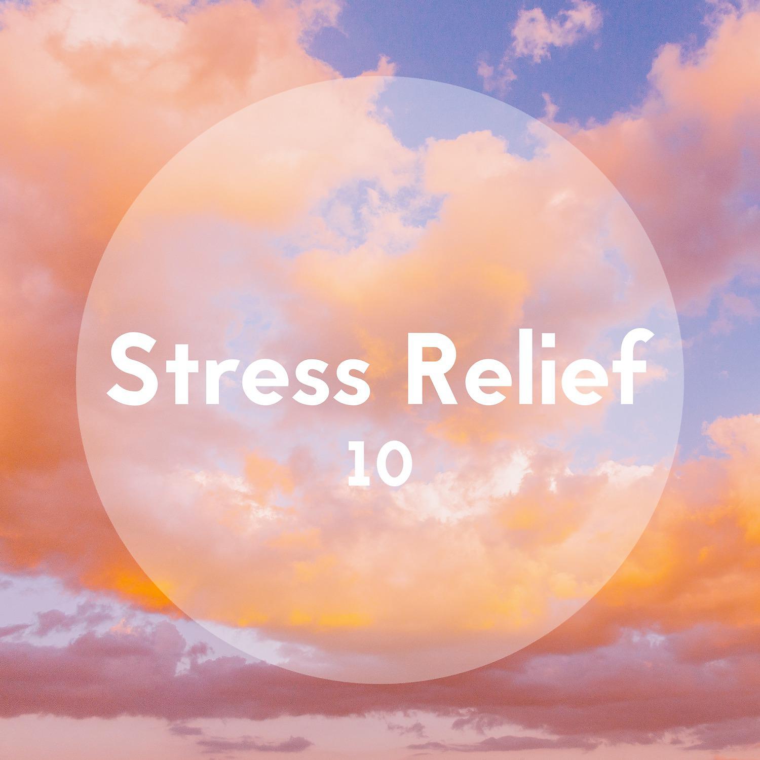 Постер альбома Stress Relief, Vol. 10