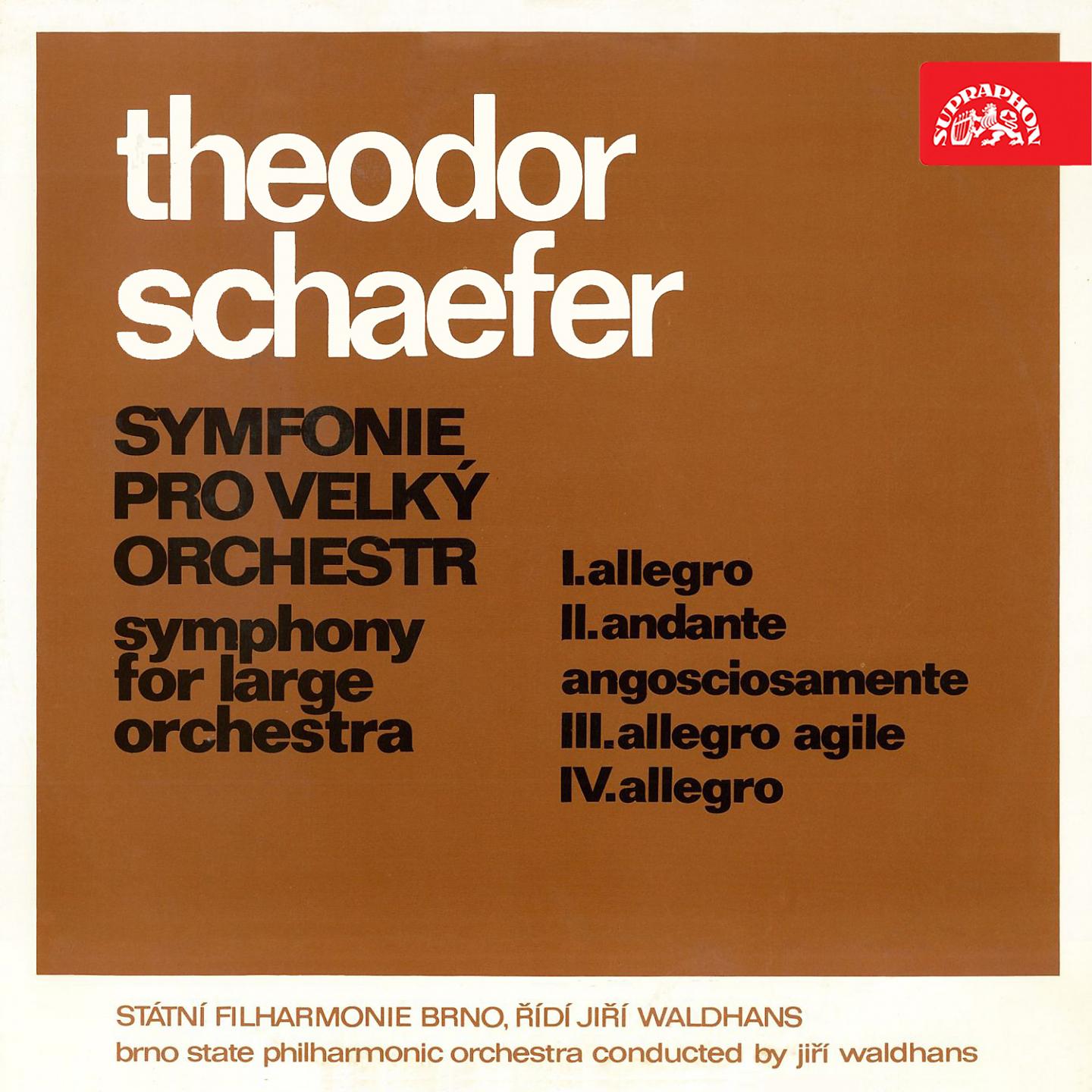 Постер альбома Schaefer: Symphony for Large Orchestra