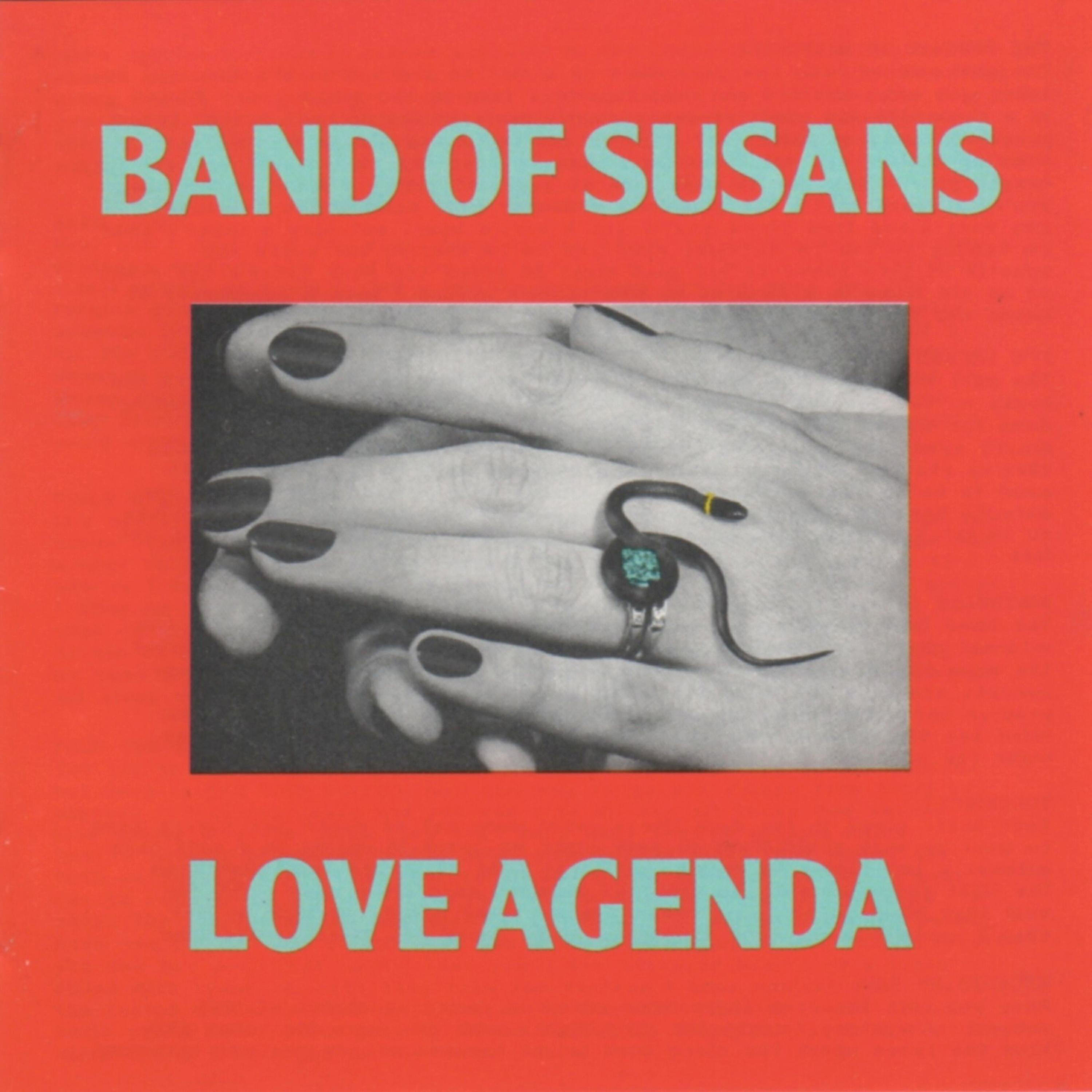 Band Of Susans - The Pursuit of Happiness