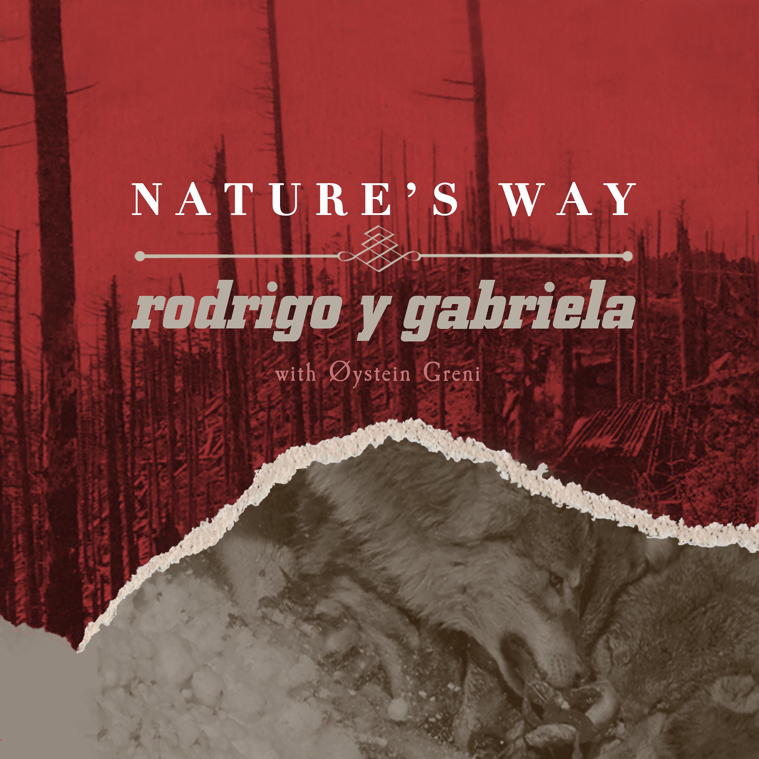 Постер альбома Nature's Way