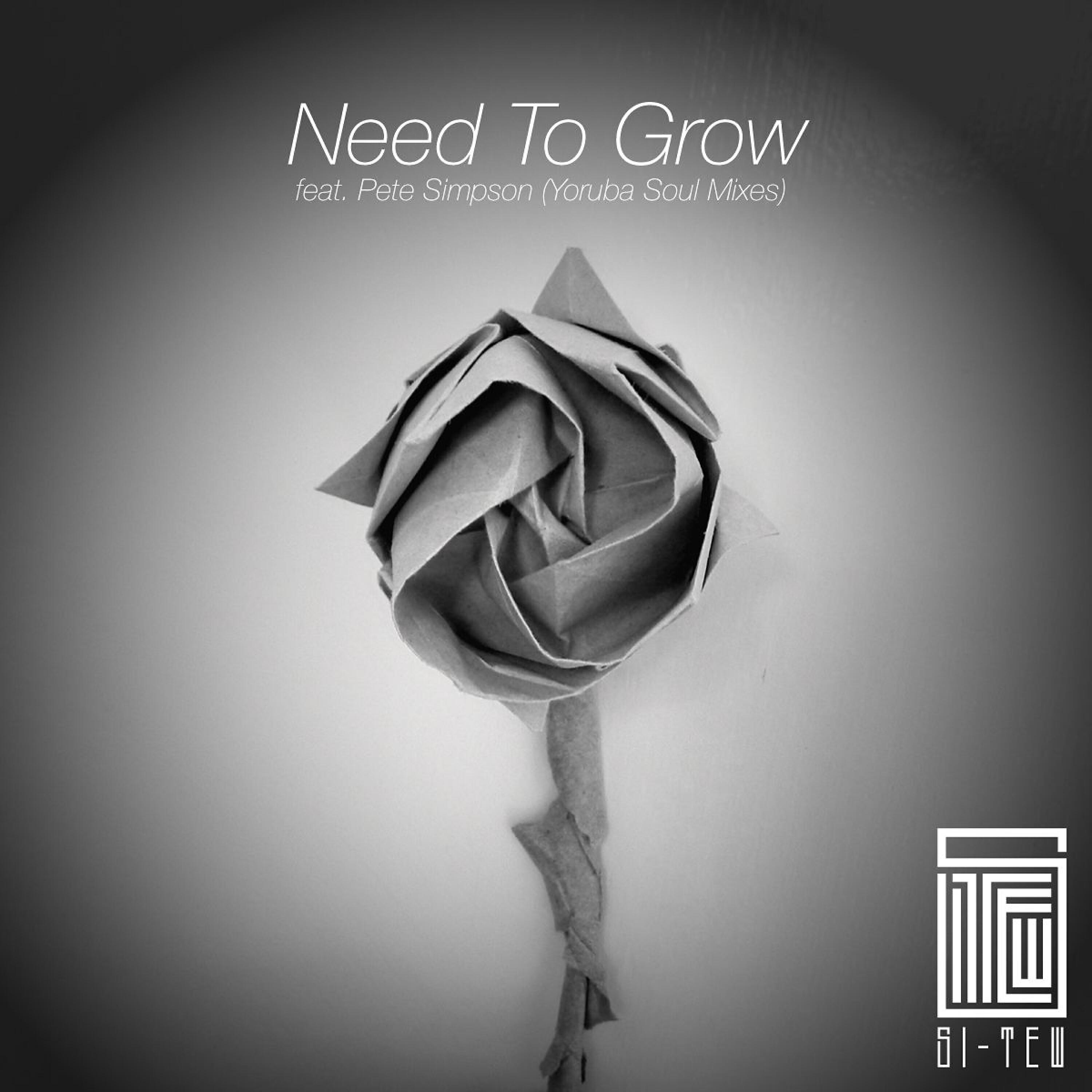 Si Tew - Need to Grow (Yoruba Soul Tv Mix)