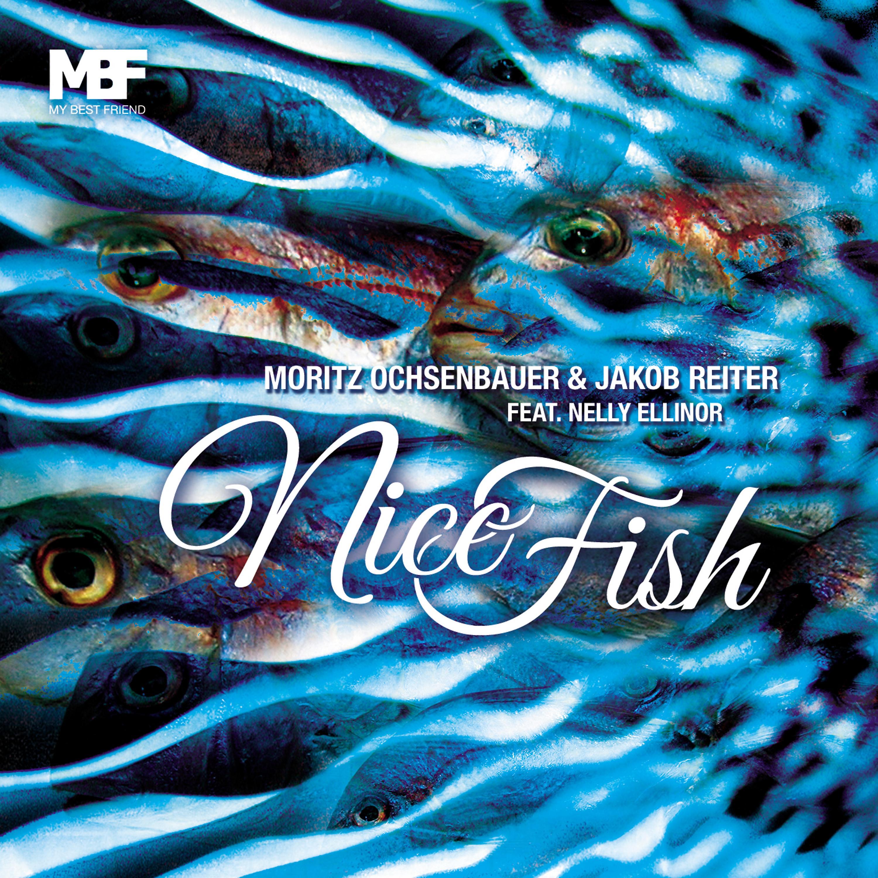 Постер альбома Nice Fish