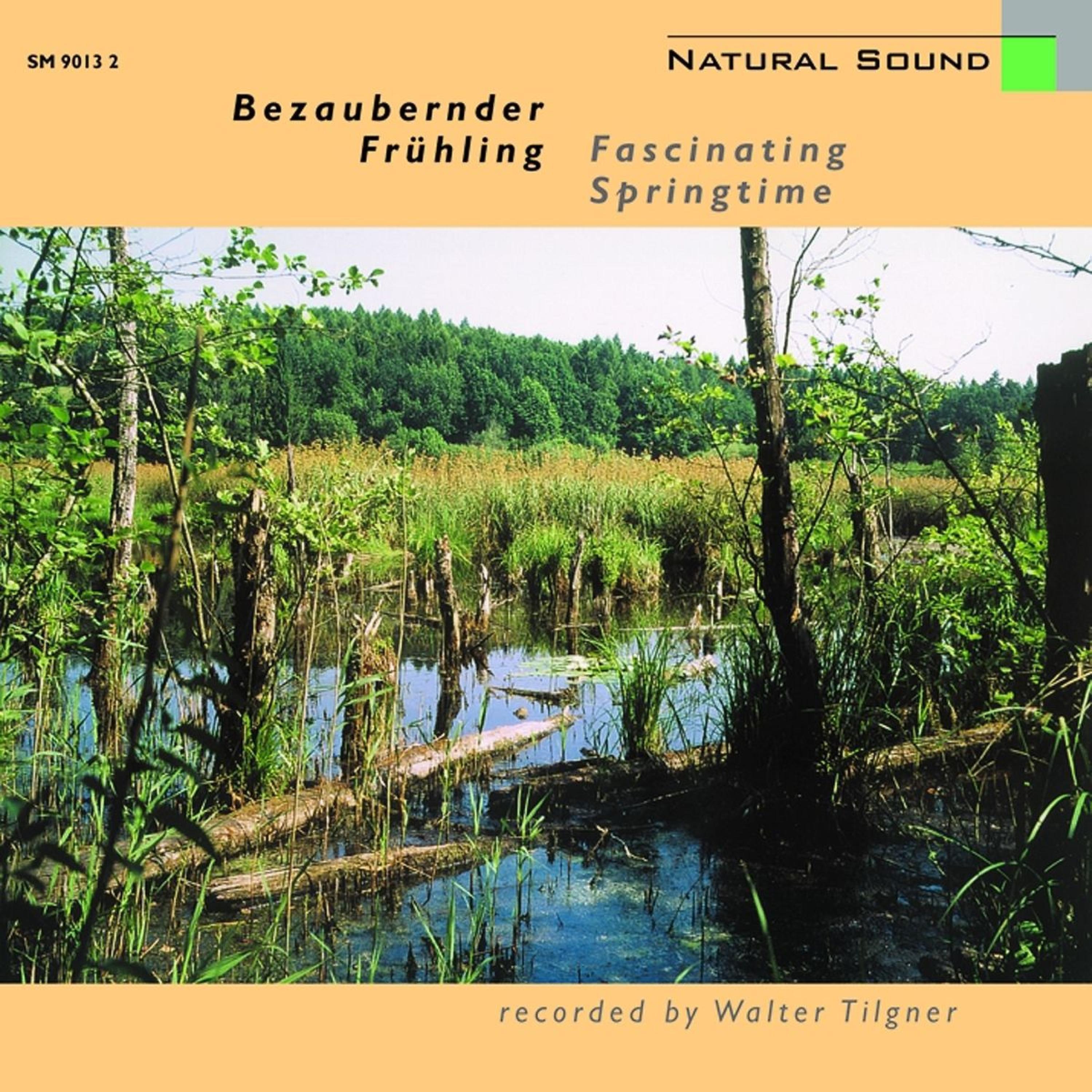 Постер альбома Natural Sound: Bezaubernder Frühling / Fascinating Springtime