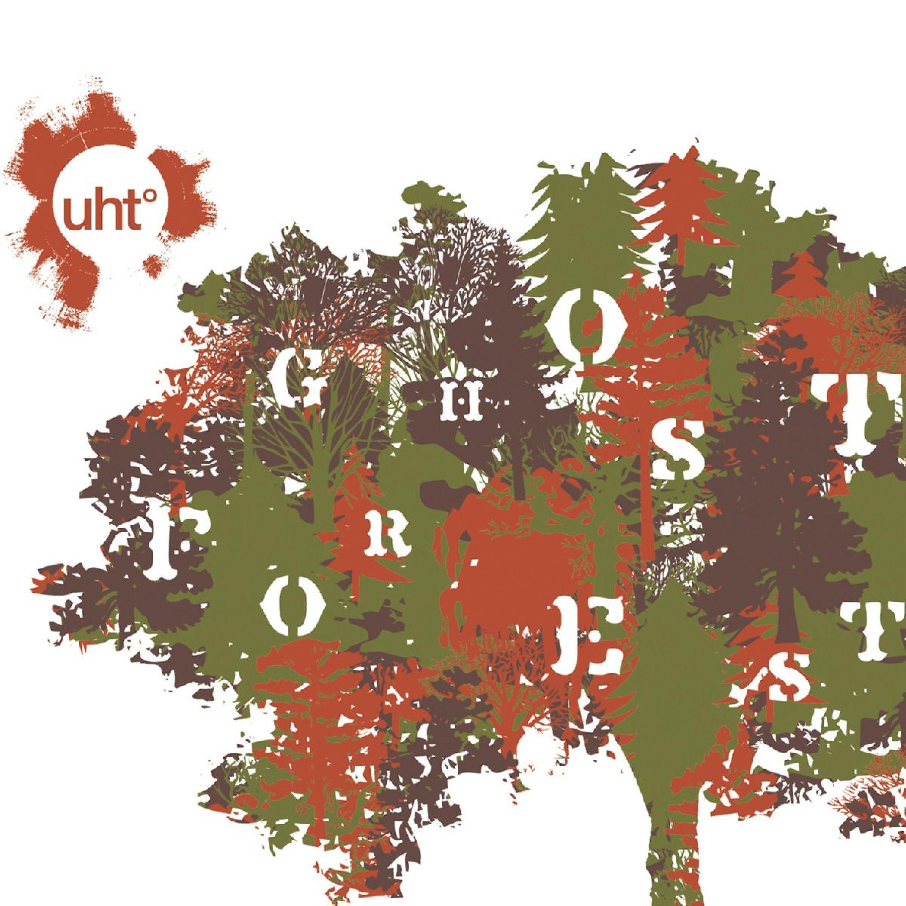 Постер альбома Ghost Forest