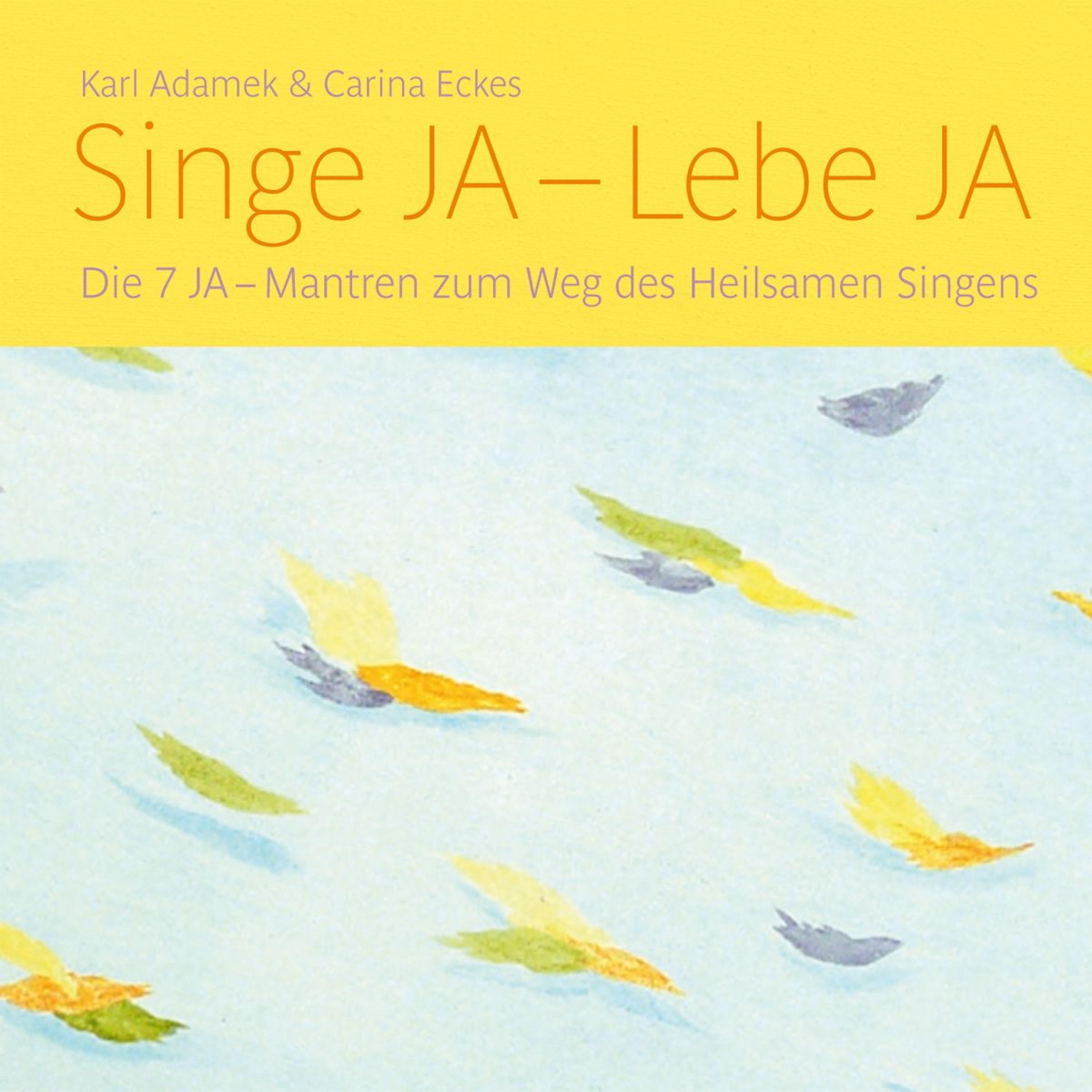Постер альбома Singe Ja - Lebe Ja