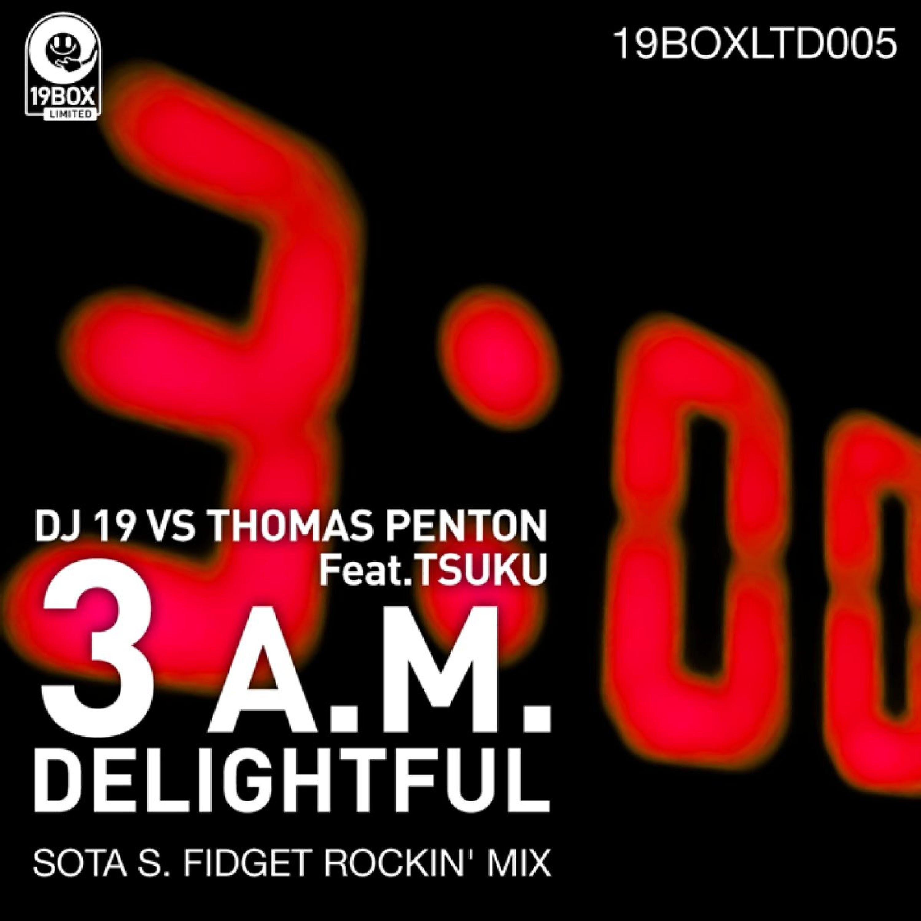 DJ 19 - 3 A.M. Delightful (Sota S. Fidget Rockin' Mix)