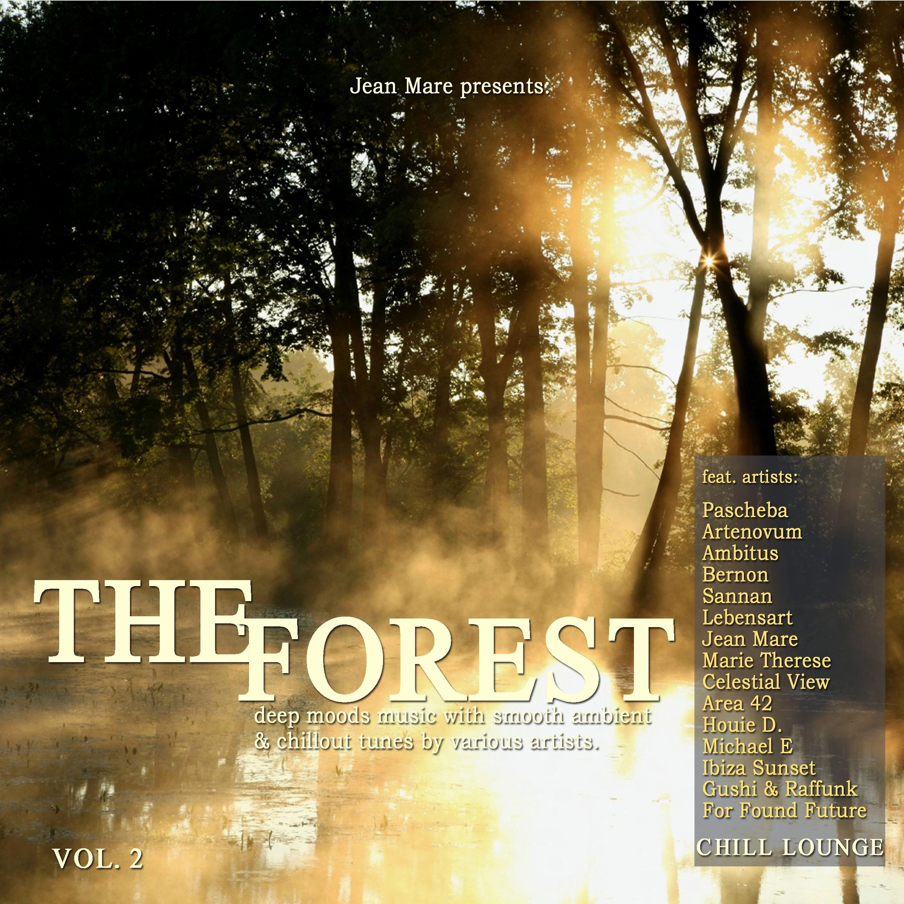 Постер альбома The Forest Chill Lounge Vol.2 (Deep Moods Music with Smooth Ambient & Chillout Downbeat Tunes Presented by Jean Mare)