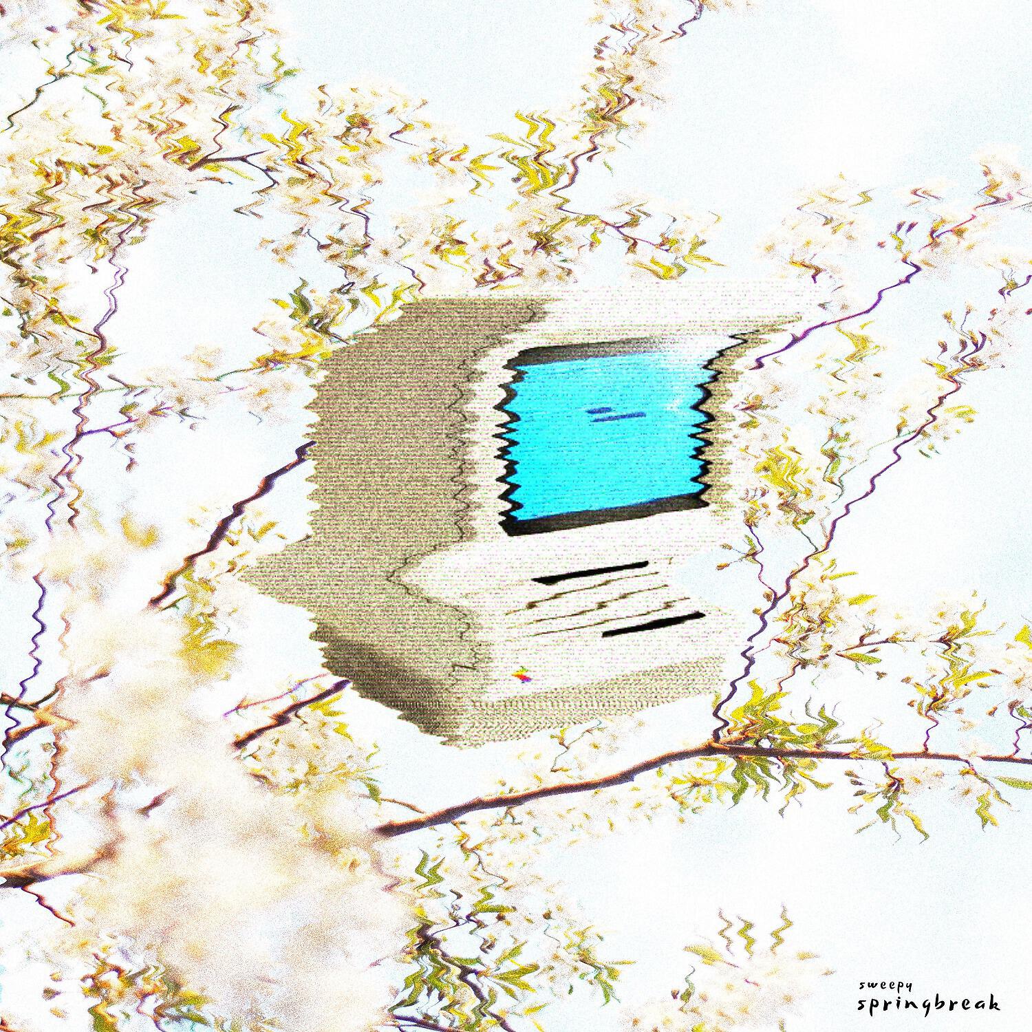 sweepy - springbreak
