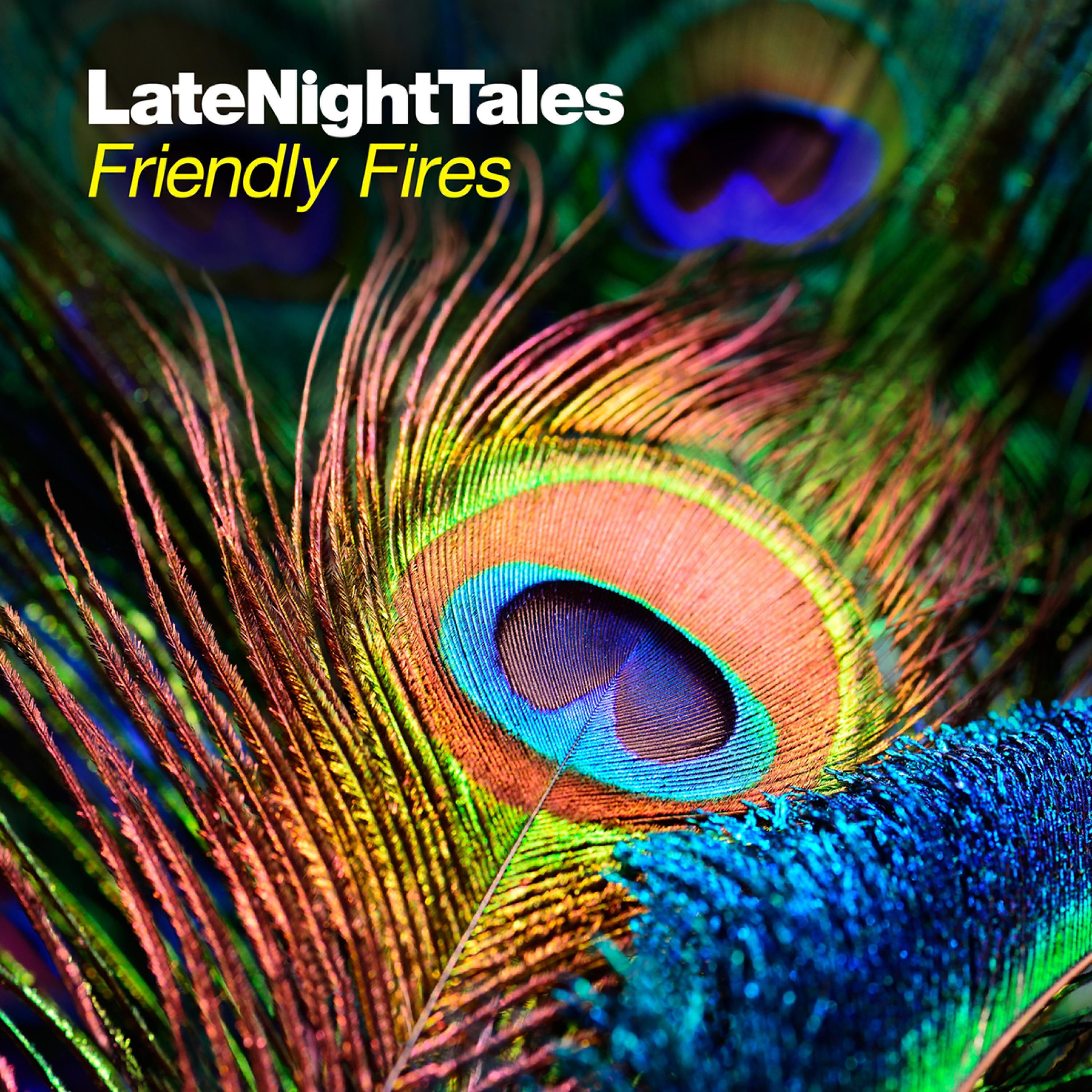 Friendly Fires - Late Night Tales: Friendly Fires (Continuous Mix)