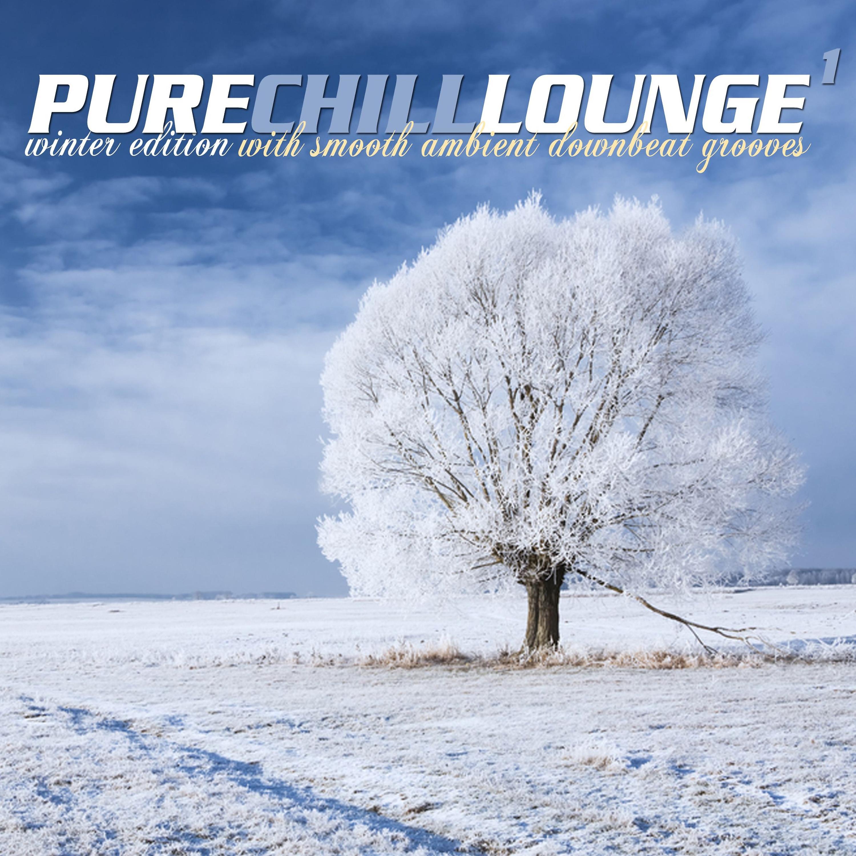 Постер альбома Pure Chill Lounge 1 (Winter Edition with Smooth Ambient Downbeat Grooves)