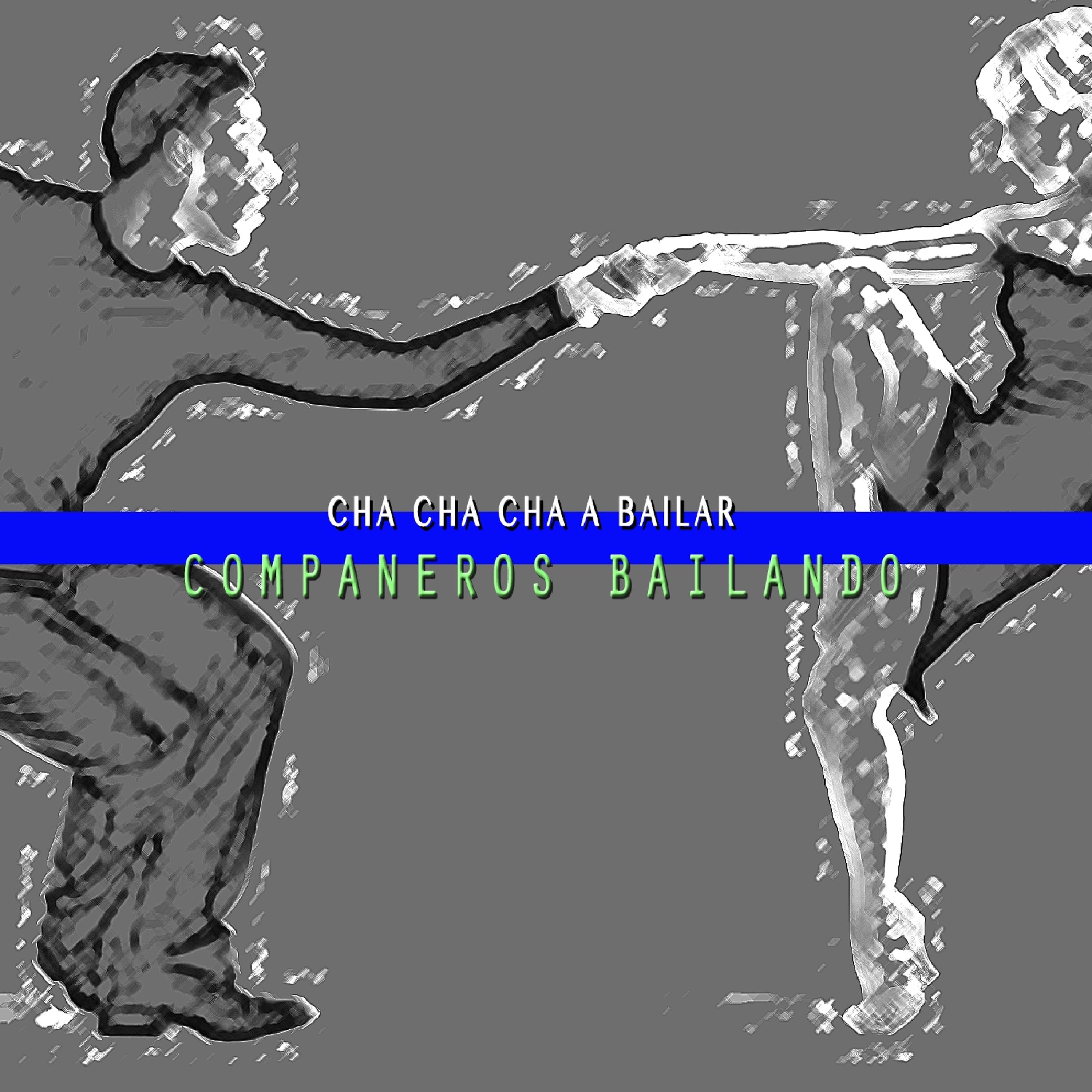 Постер альбома Cha Cha Cha a Bailar