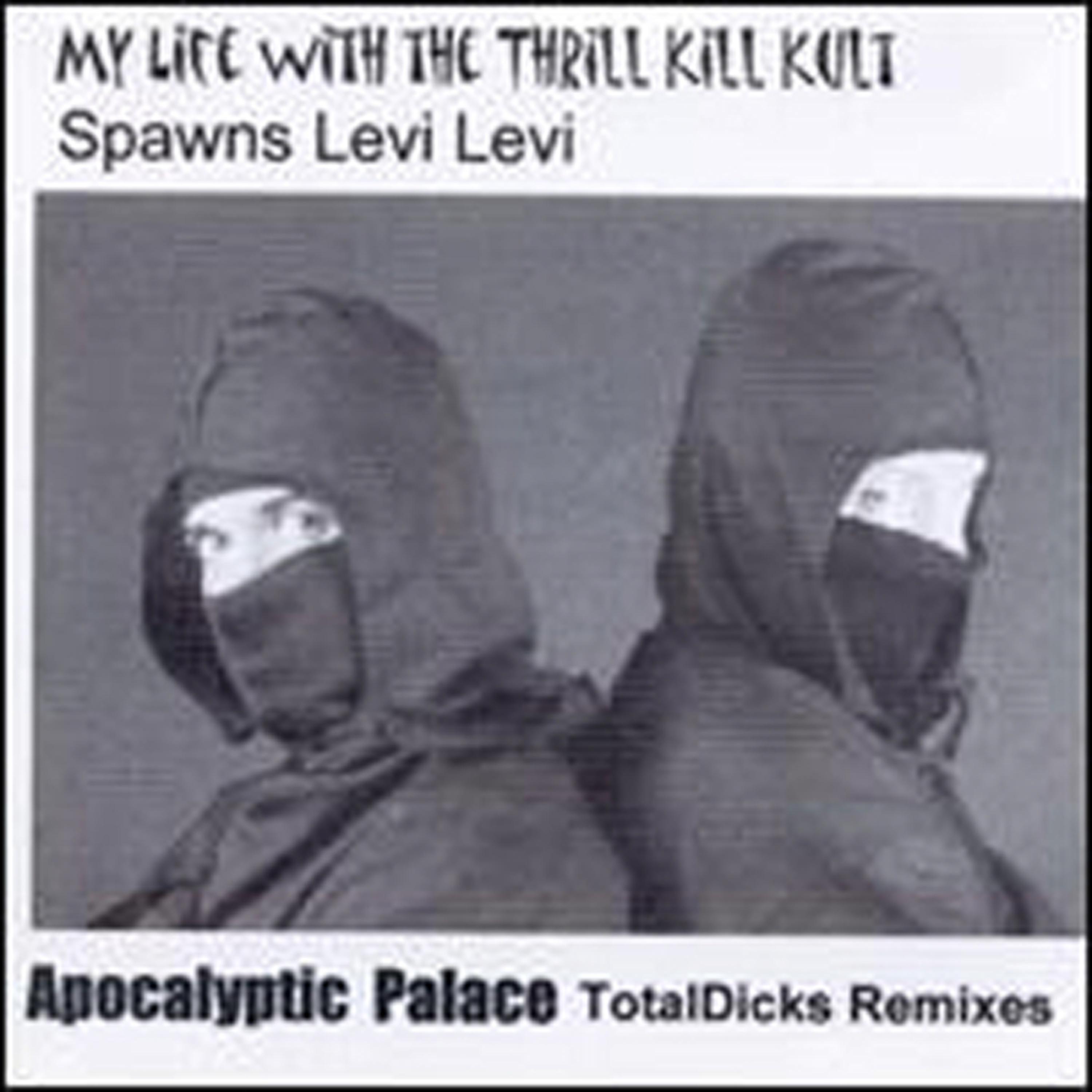 Постер альбома Apocalyptic Palace (TD Remixes)