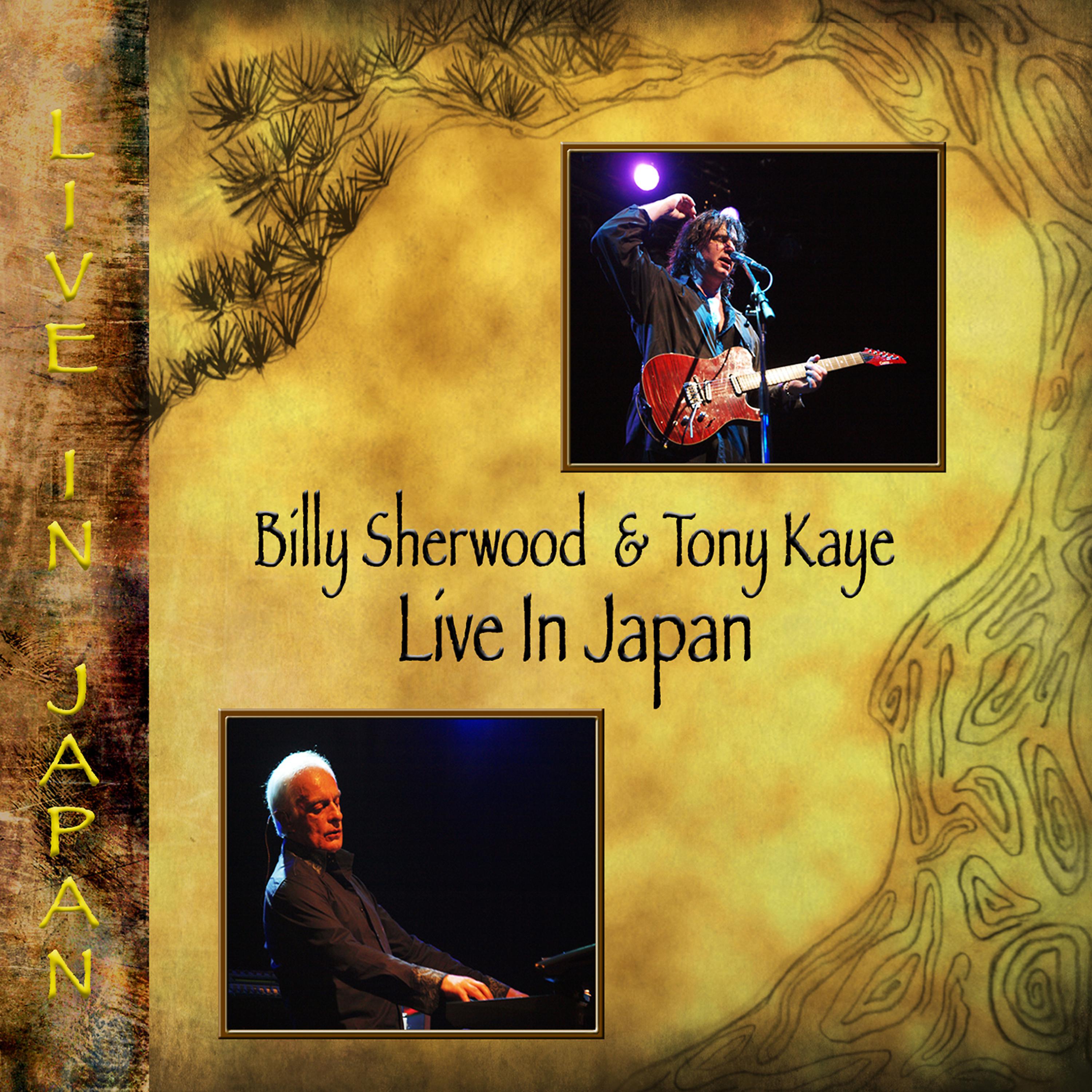 Постер альбома Live in Japan