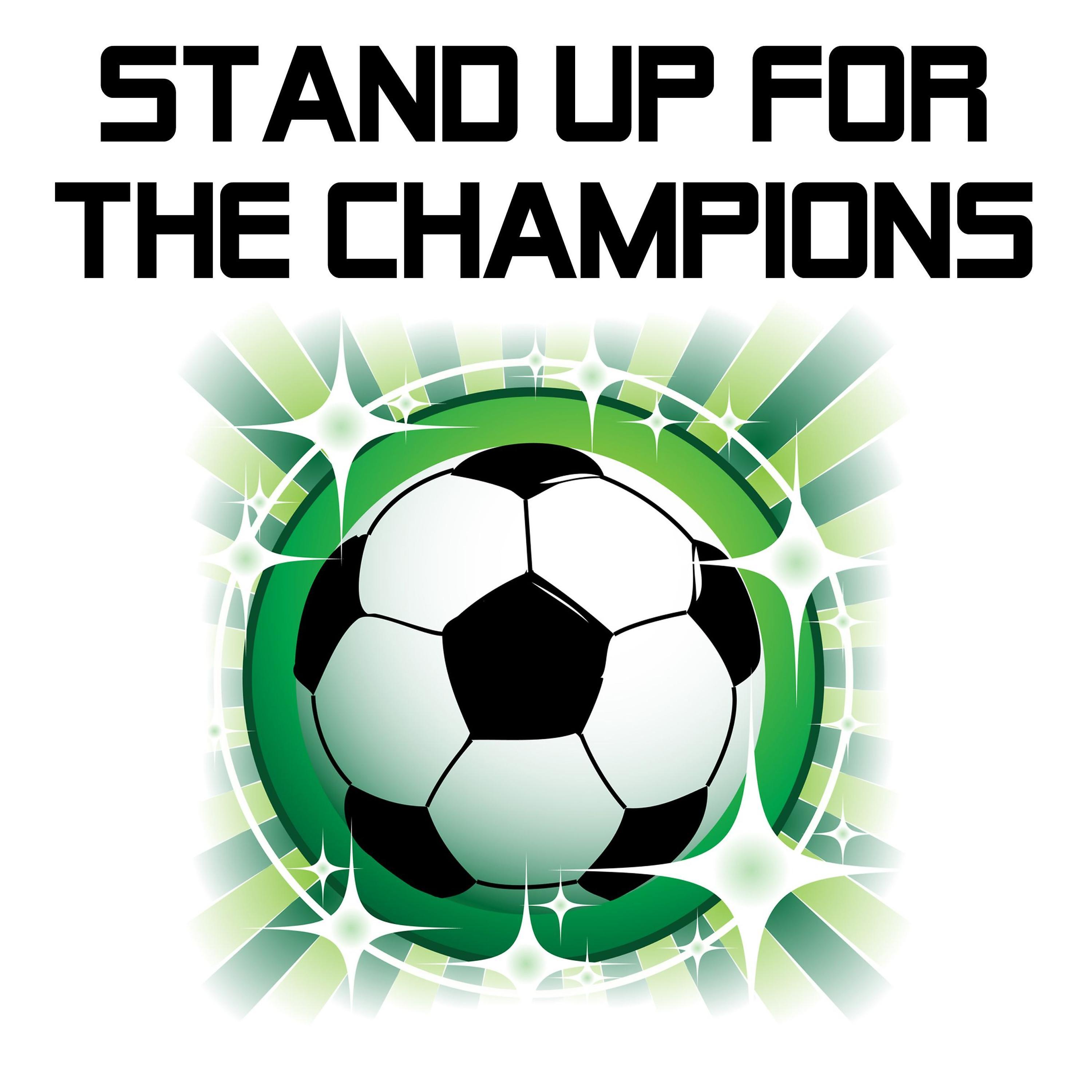 Постер альбома Stand up for the Champions