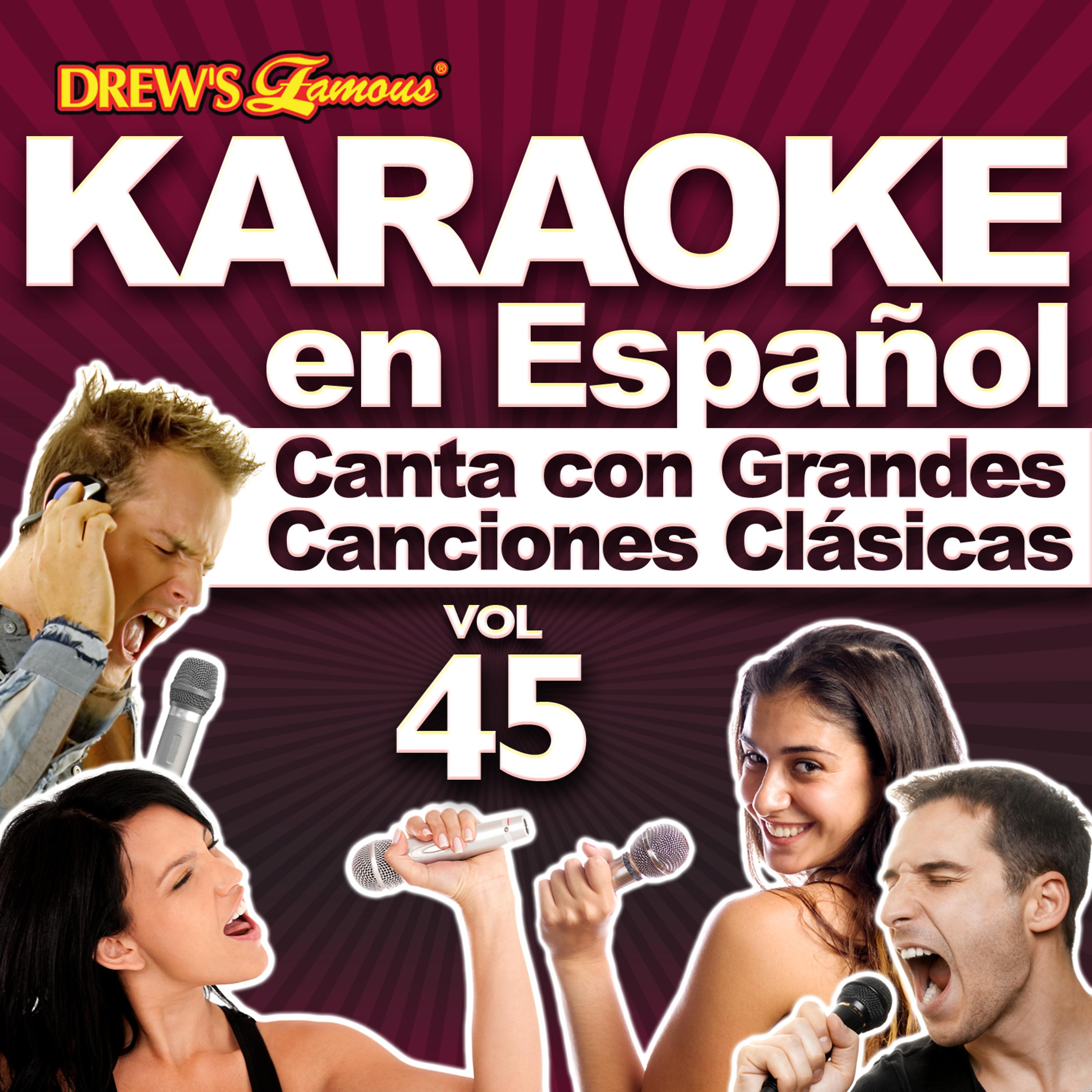 Постер альбома Karaoke en Español: Canta Con Grandes Canciones Clásicas, Vol. 45