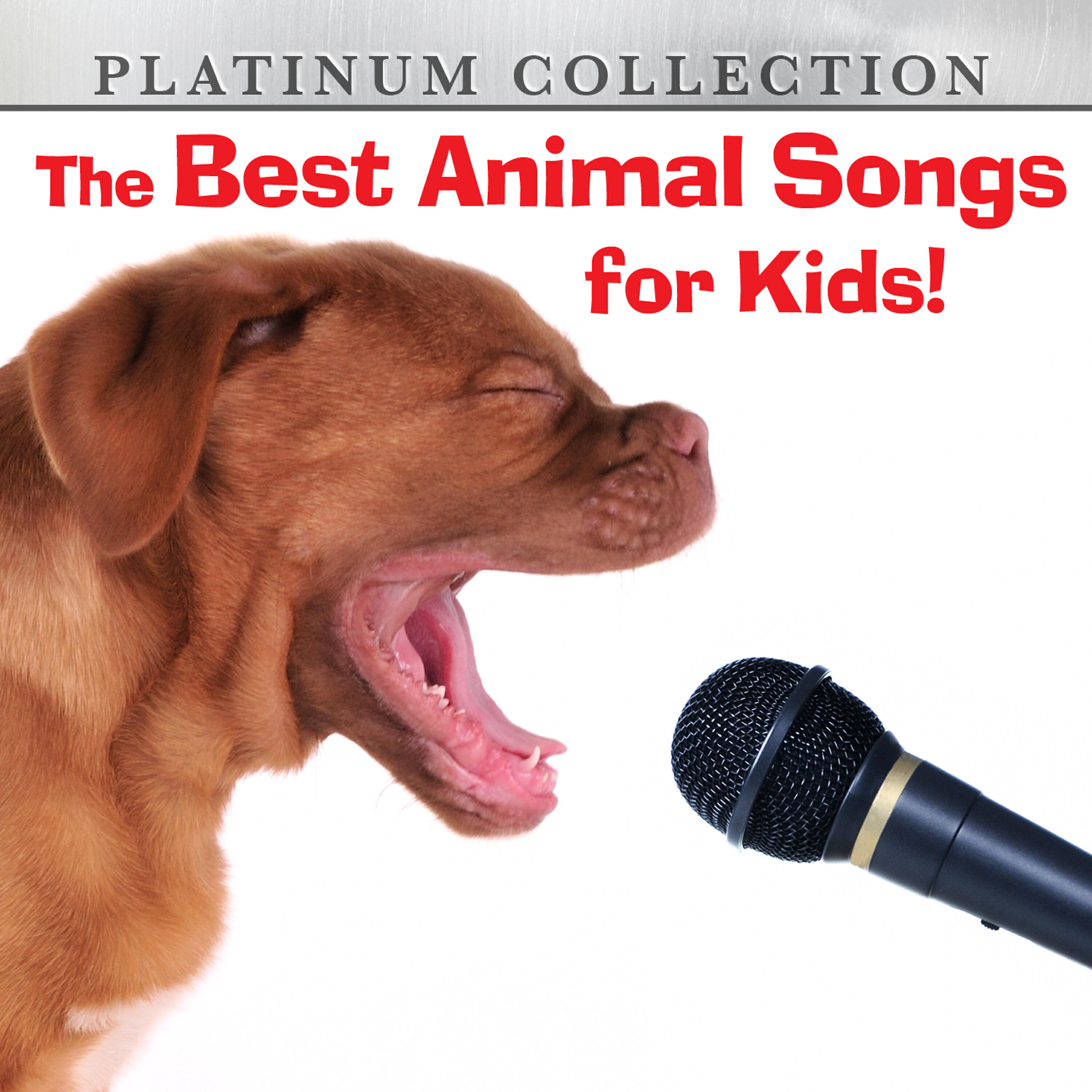 Platinum Collection Band - Incy Wincy Spider (Re-Recorded Version)