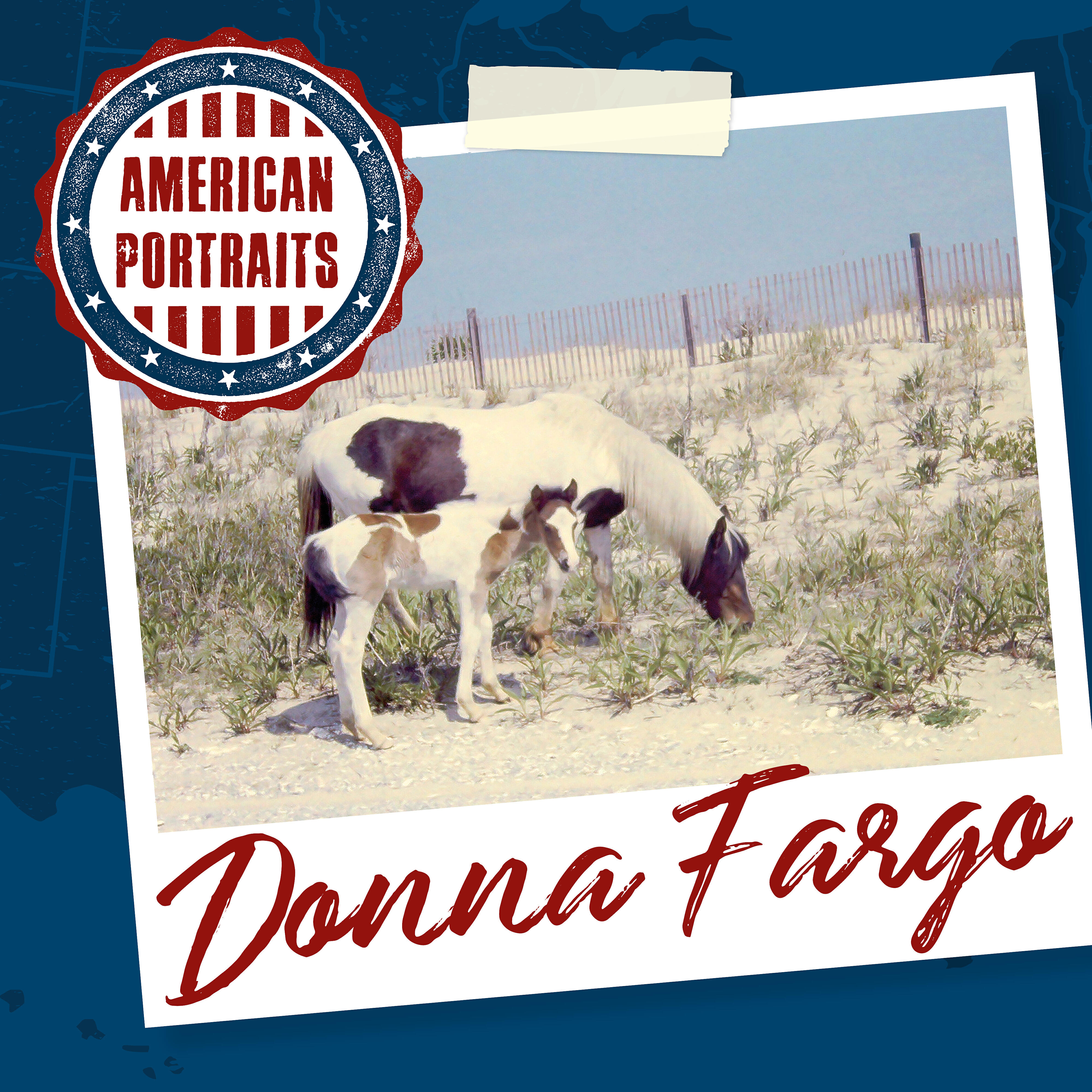 Donna Fargo - I Know a Heartache When I See One