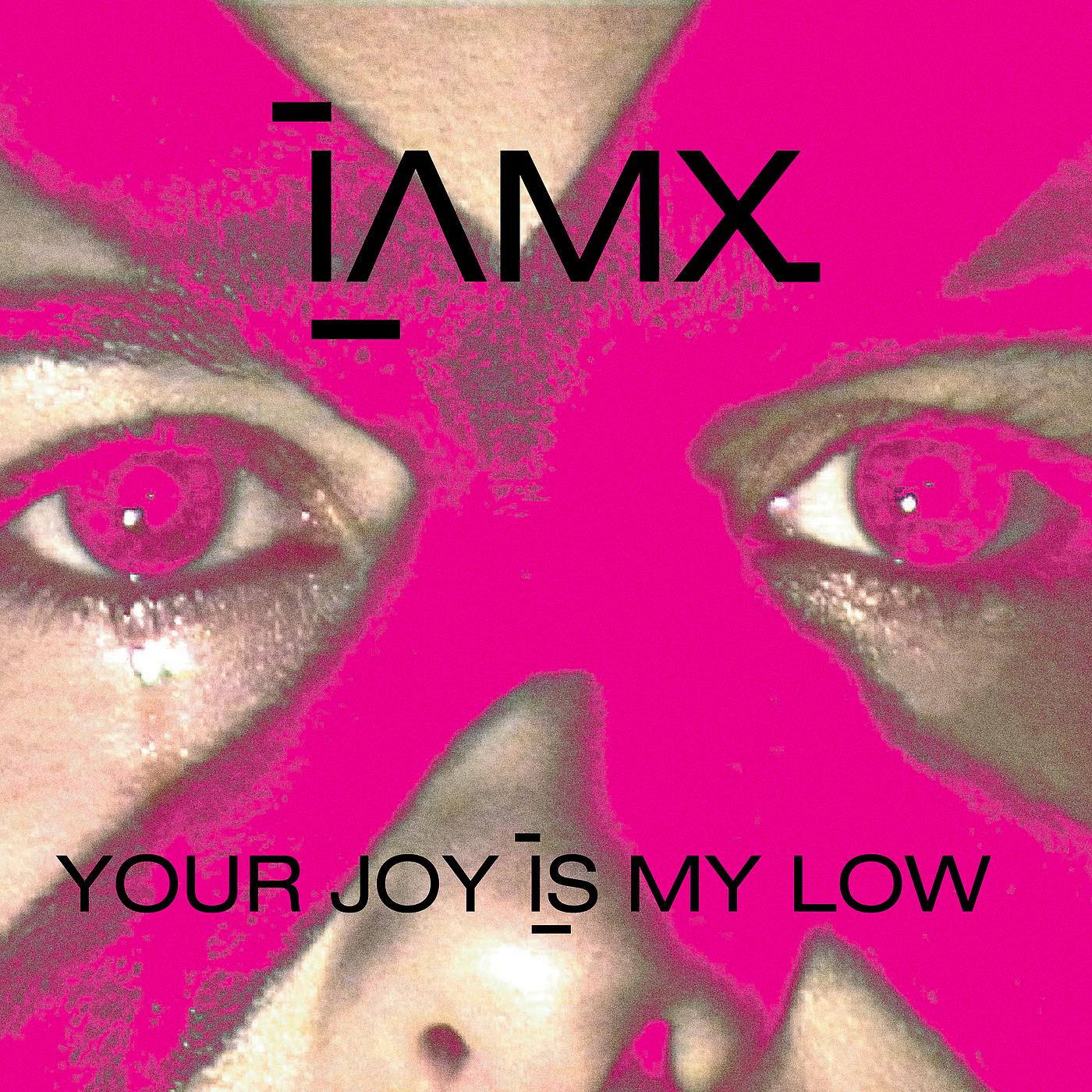 Постер альбома Your Joy Is My Low