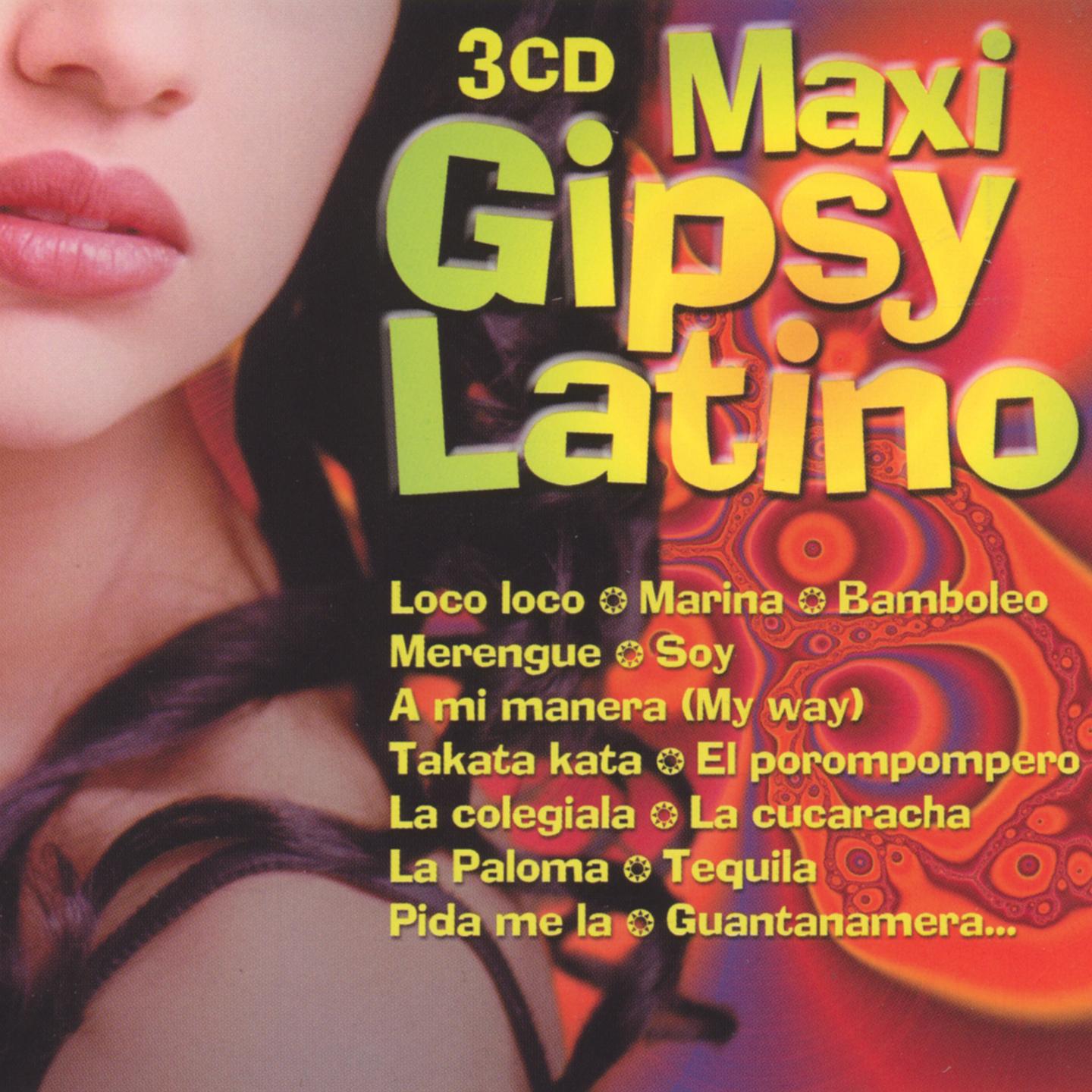 Постер альбома Maxi Gipsy Latino