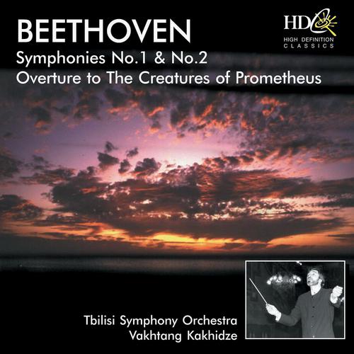 Tbilisi Symphony Orchestra - Symphony No.1 in C Major, Op. 21 : I. Adagio molto - Allegro con brio