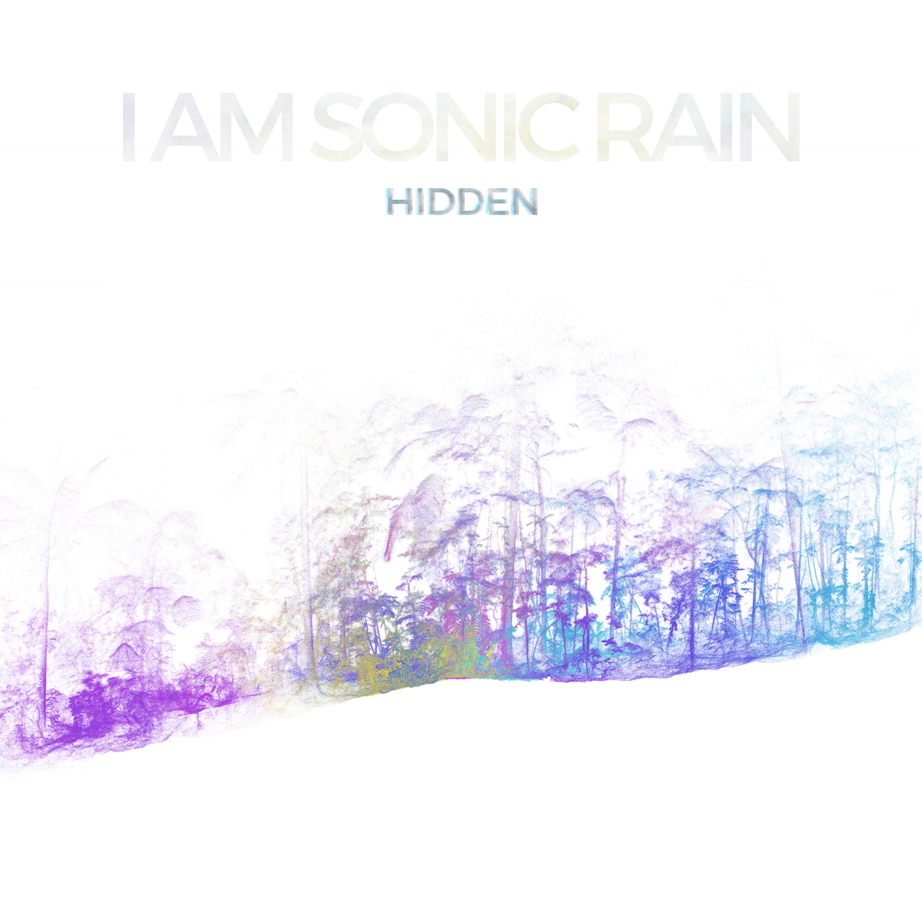 Постер альбома Hidden