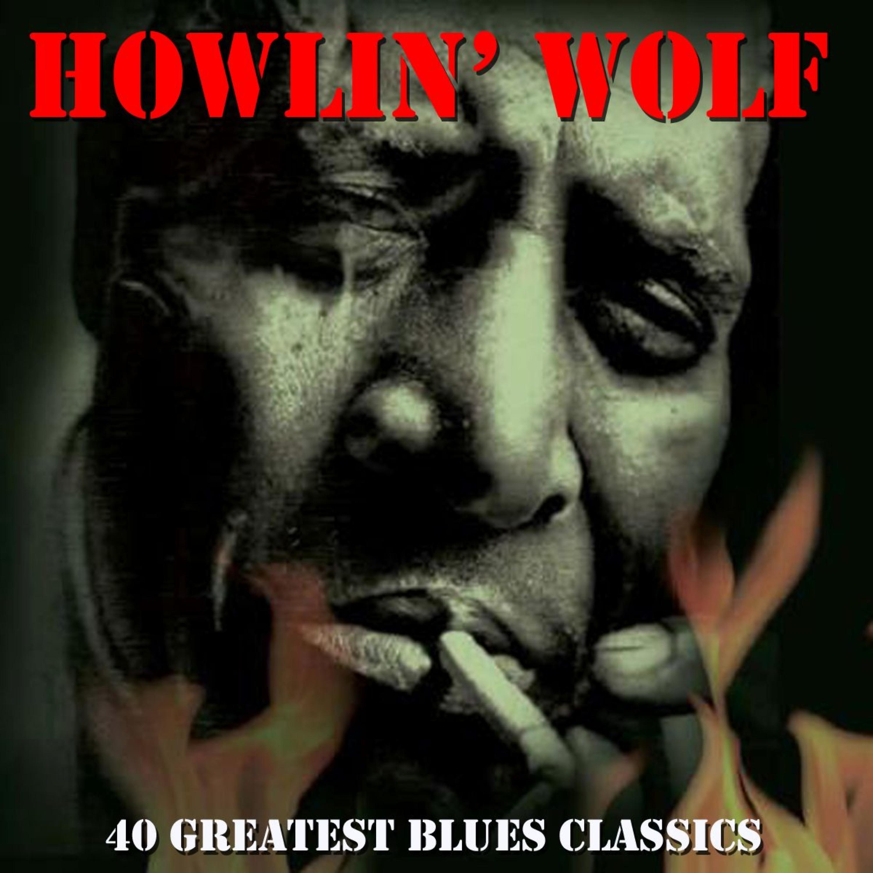 Постер альбома 40 Greatest Blues Classics (Amazon Edition)