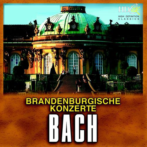 Постер альбома Brandenburgische Konzerte Nr. 4, 5 & 6 CD 1