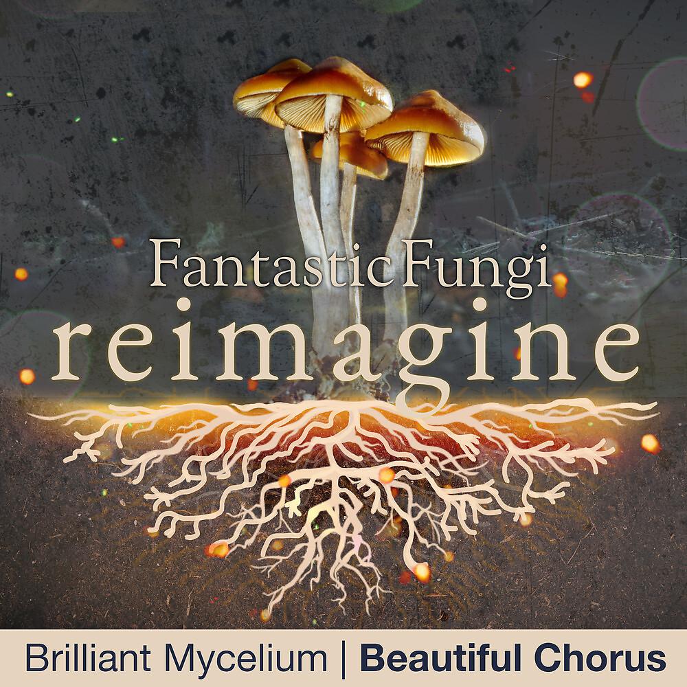 Постер альбома Brilliant Mycelium