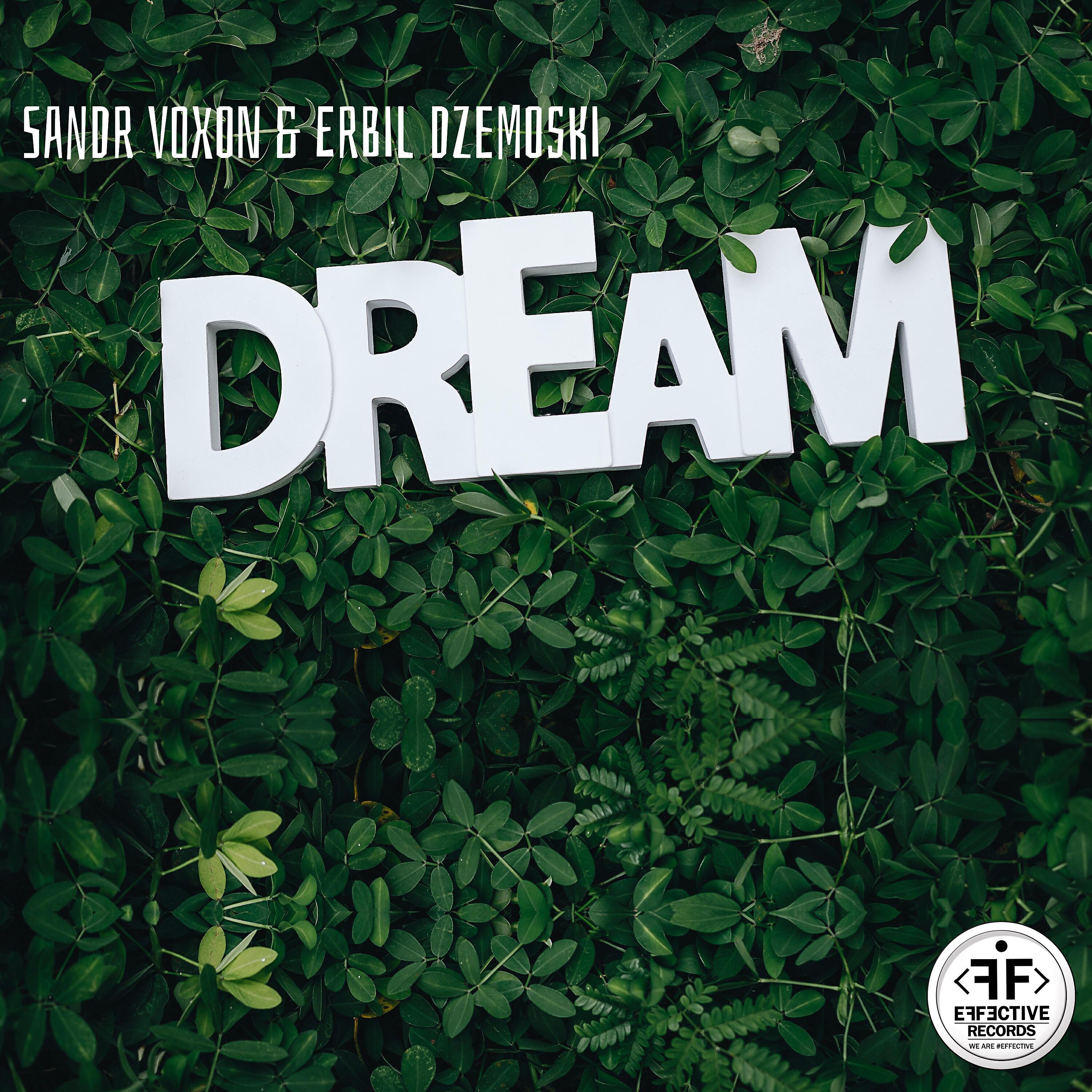 Sandr Voxon - Dream