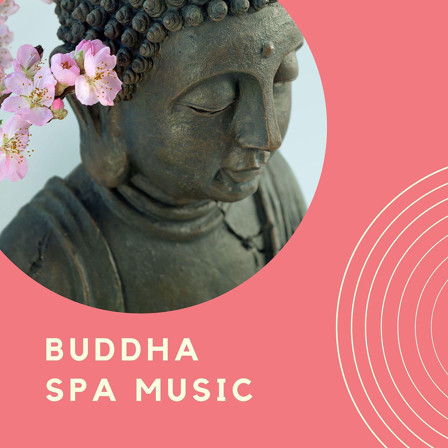 Kojo Iyanya - Wellness Bowls