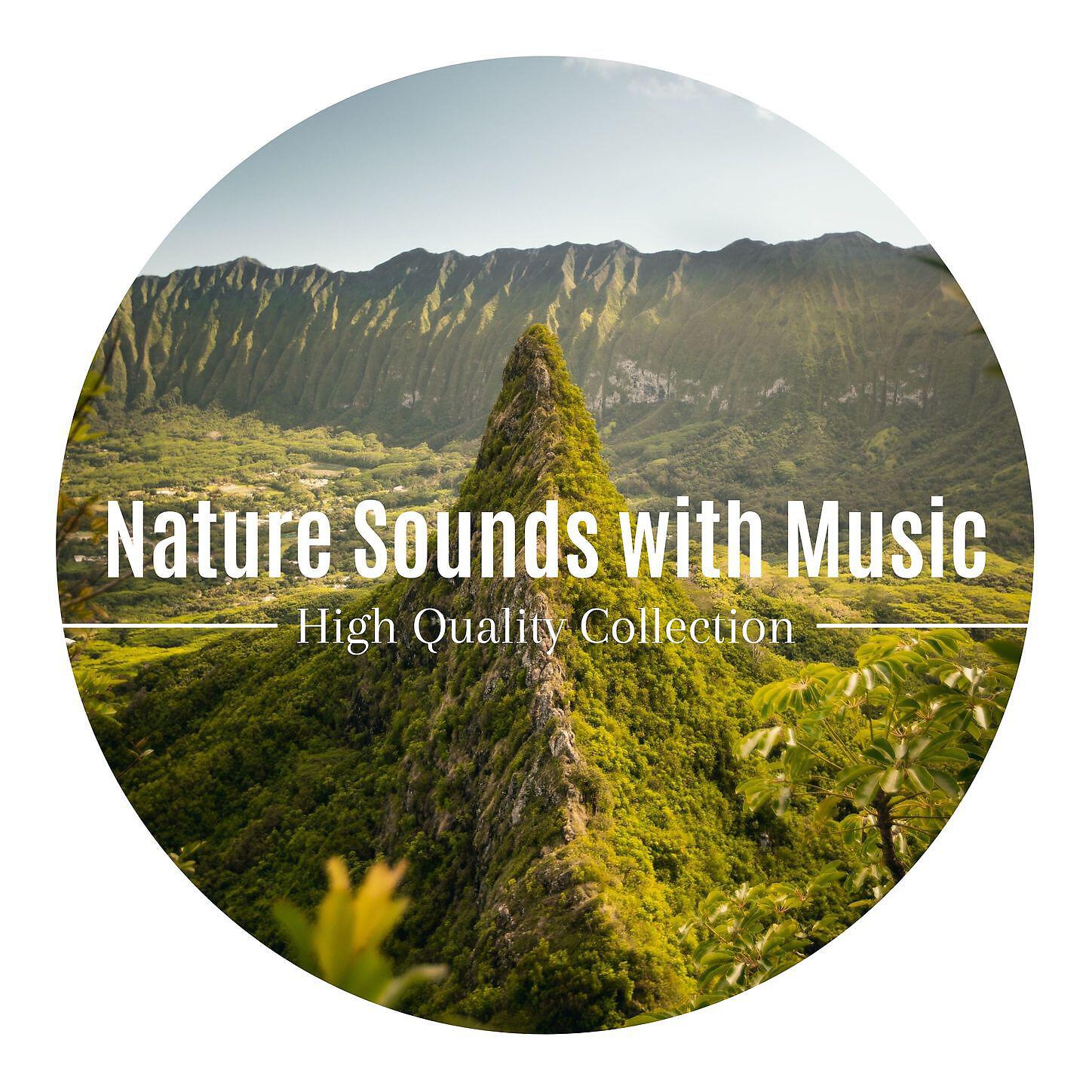 Hypnotherapy, Morning Meditation - Tropical Island Beach