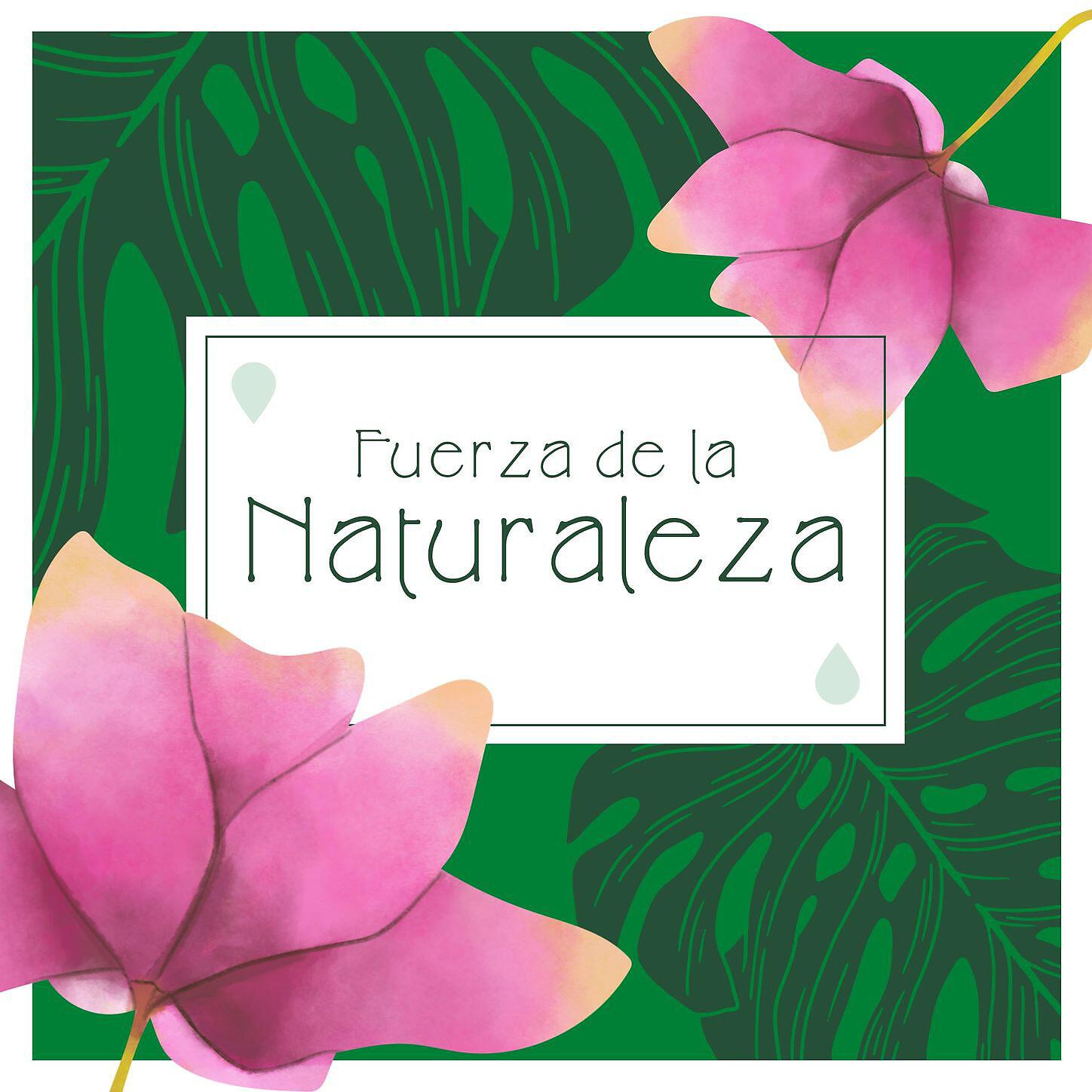 Paloma de la Selva - Mundo Azul